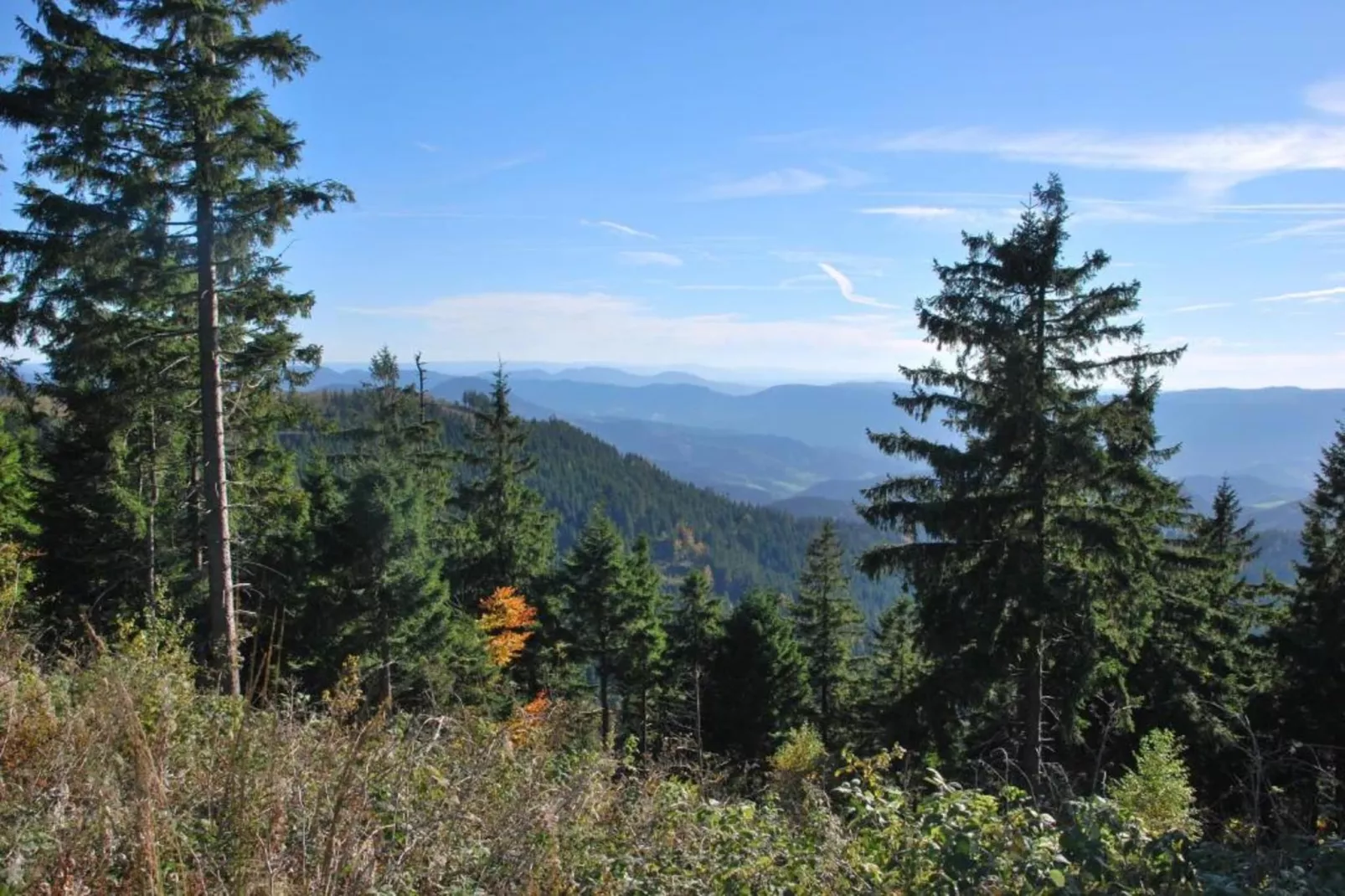 Kniebis-Areas within 20km in summer