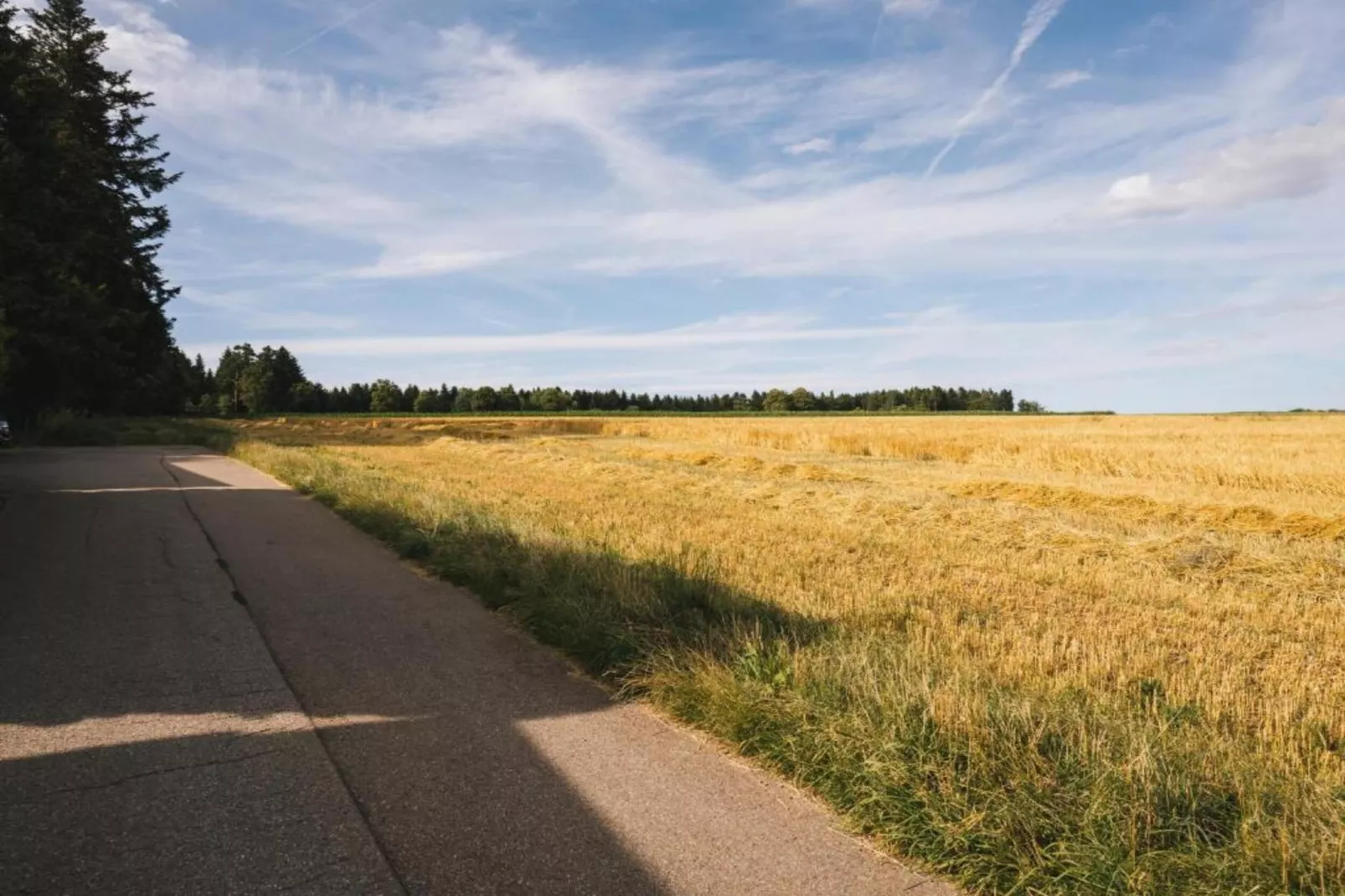 Marianne-Areas within 20km in summer
