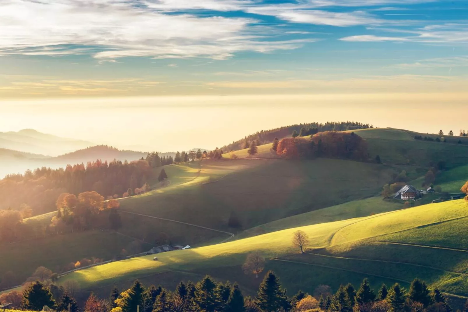 Panoramablick-Areas within 20km in summer