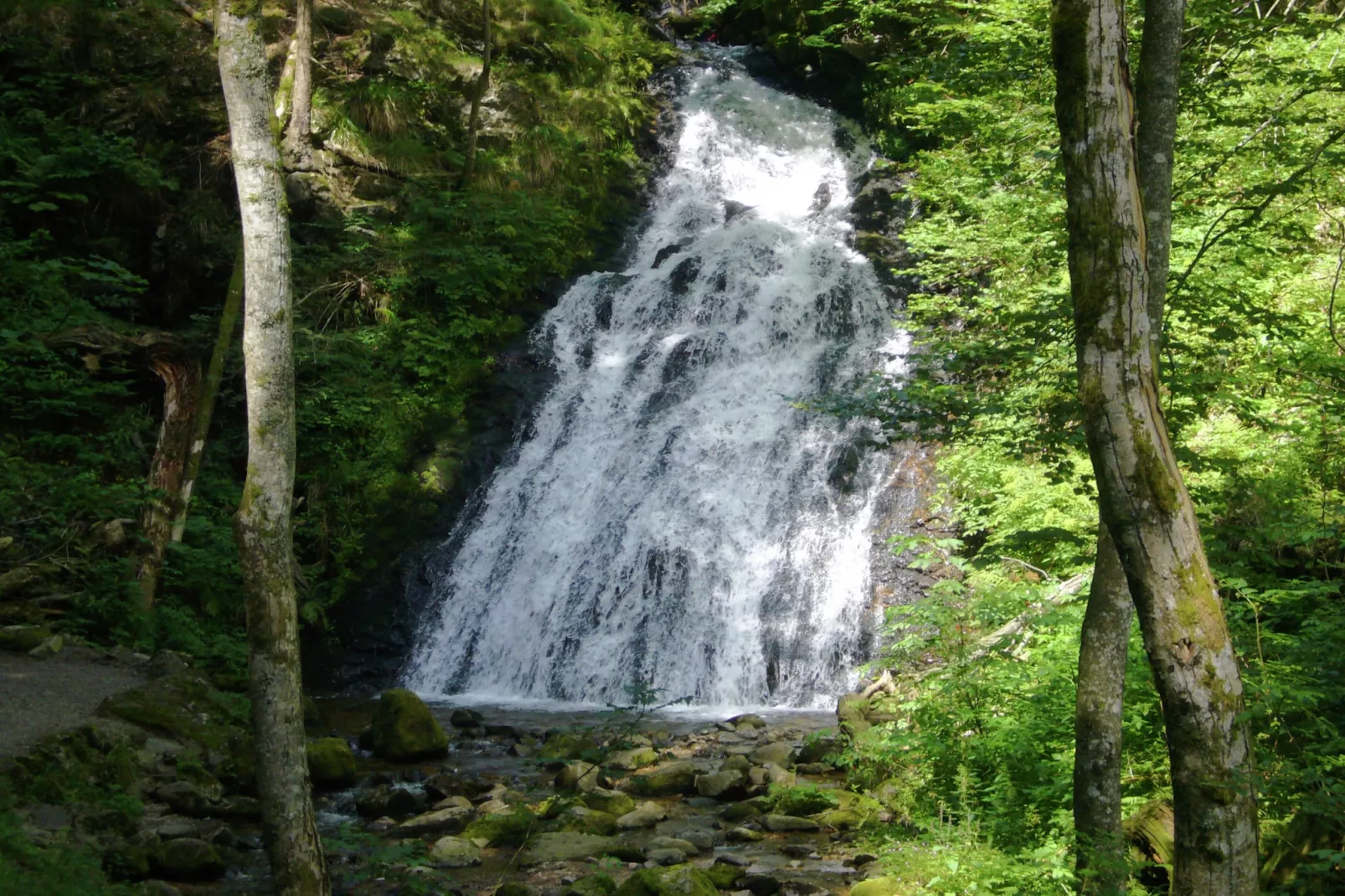 Schwarzwald-Areas within 1km in summer