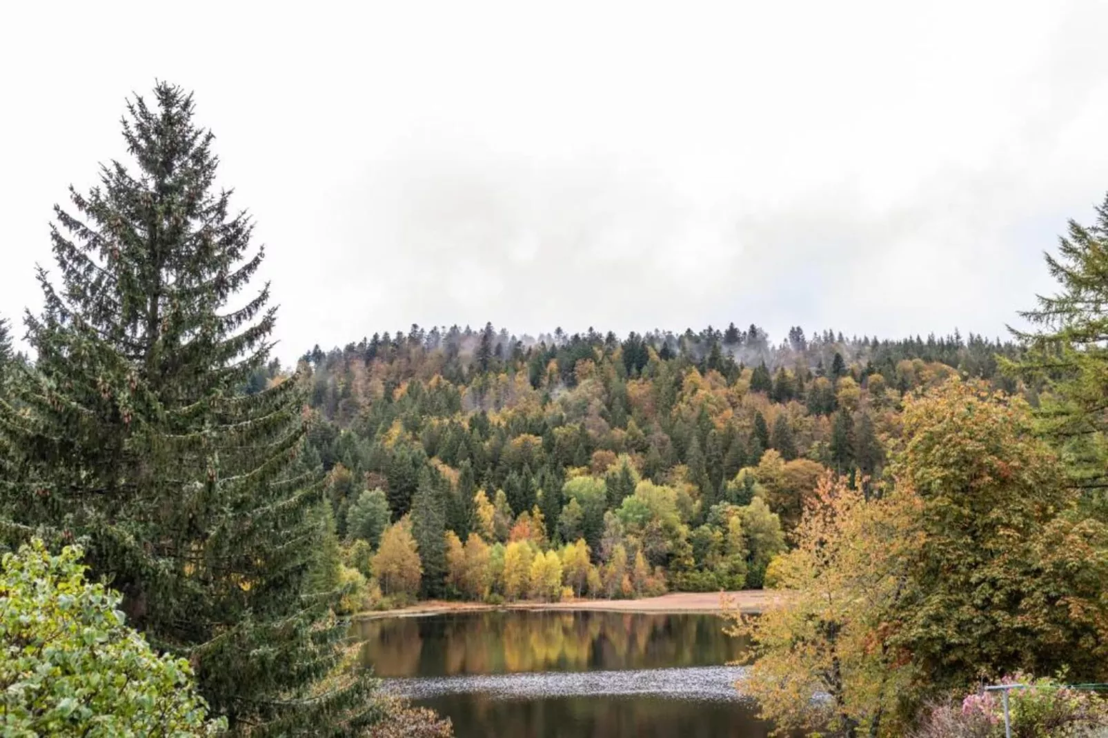Altes Forsthaus-Gebiete Sommer 20 km