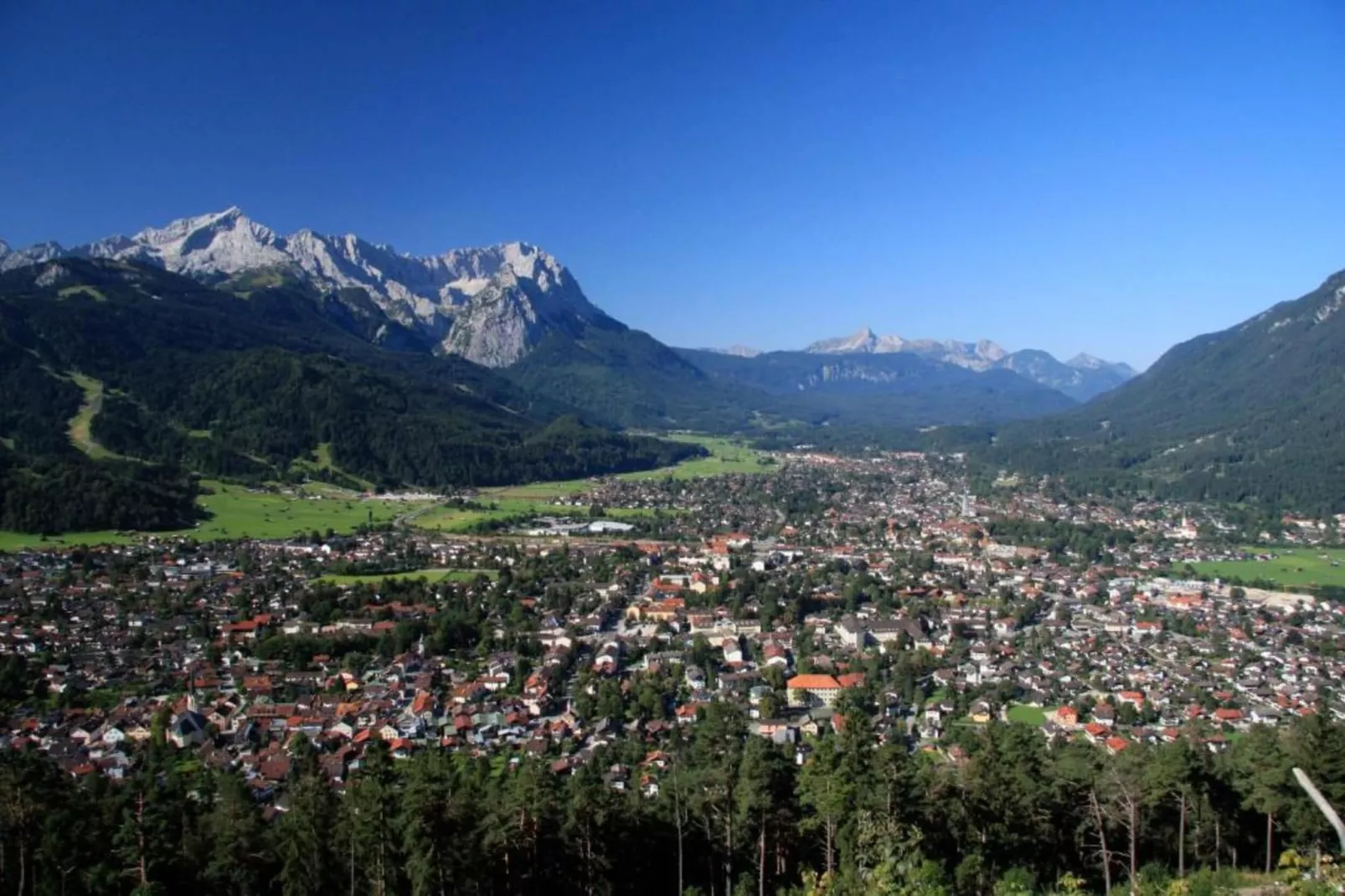 Sonnenblume-Areas within 20km in summer