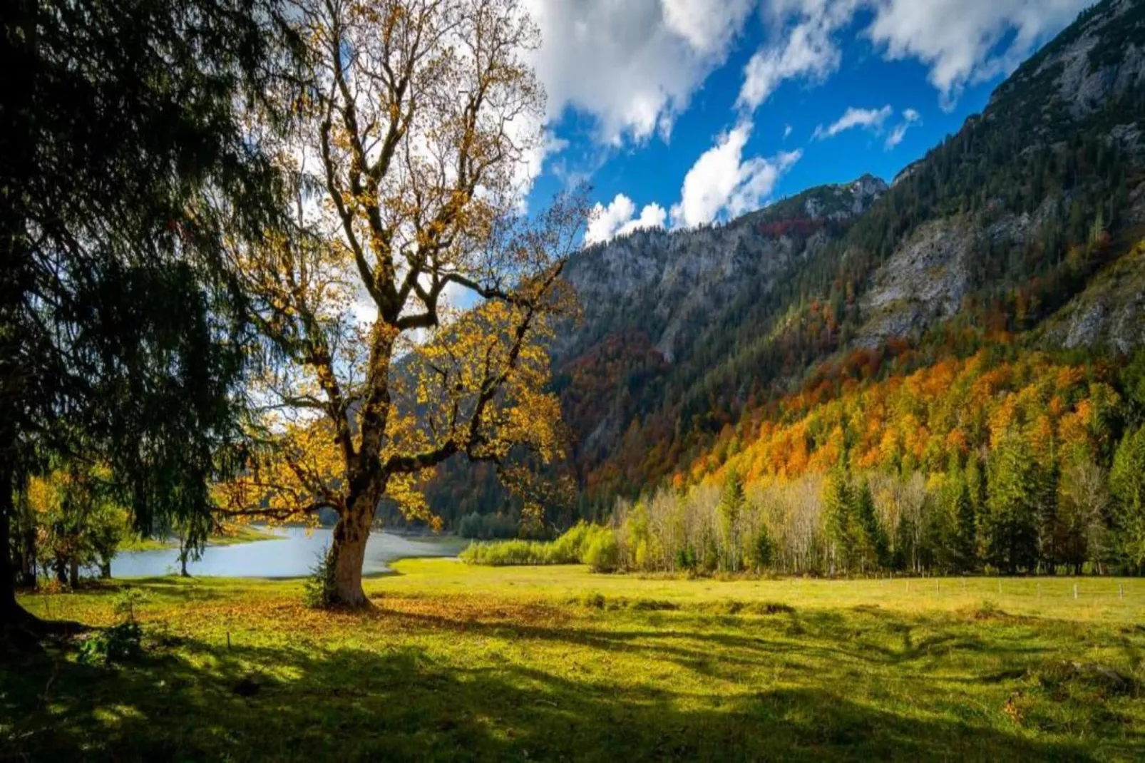 Im Chiemgau-Areas within 20km in summer