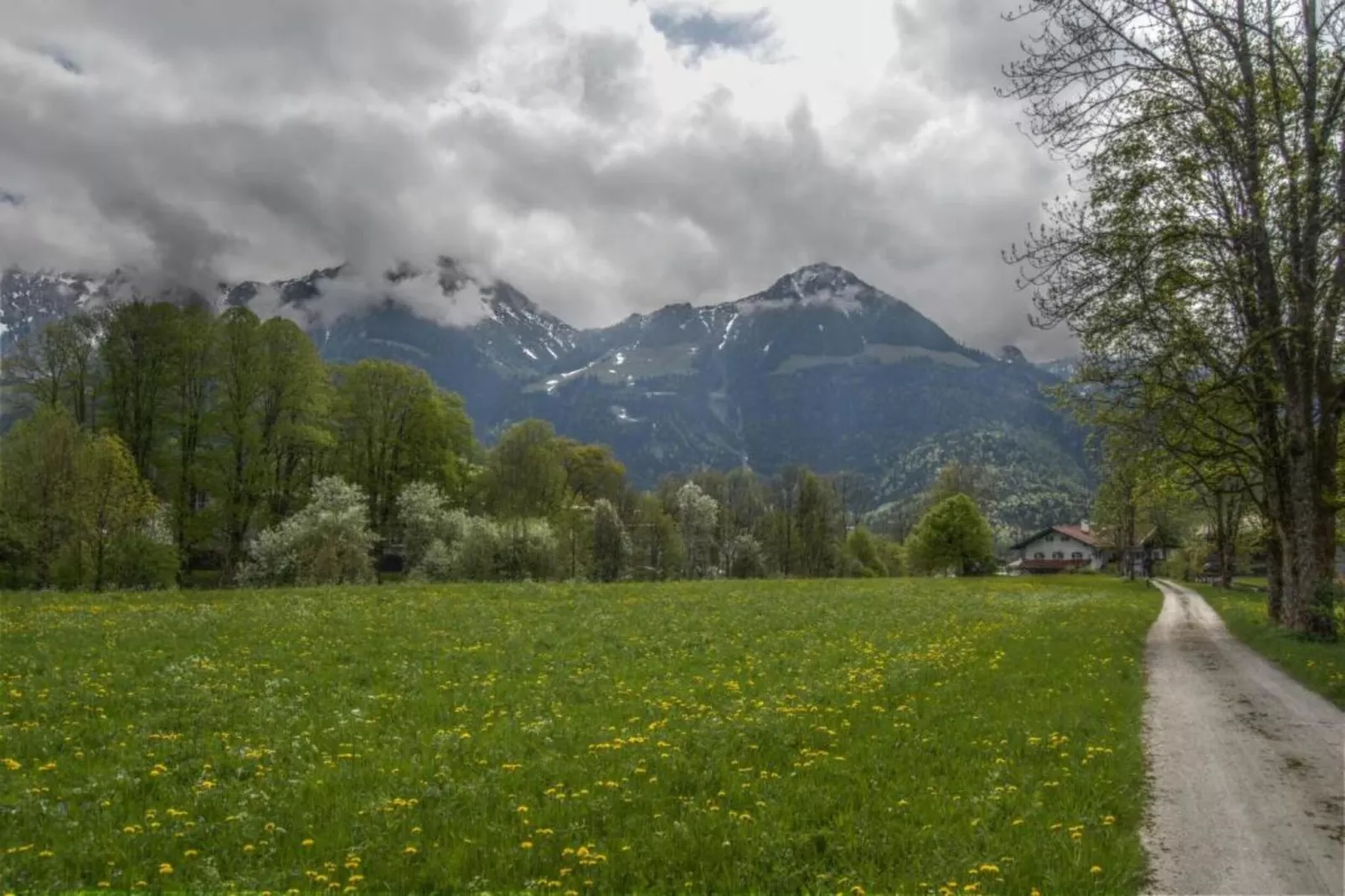 Schönau am Königssee-Gebiete Sommer 20 km