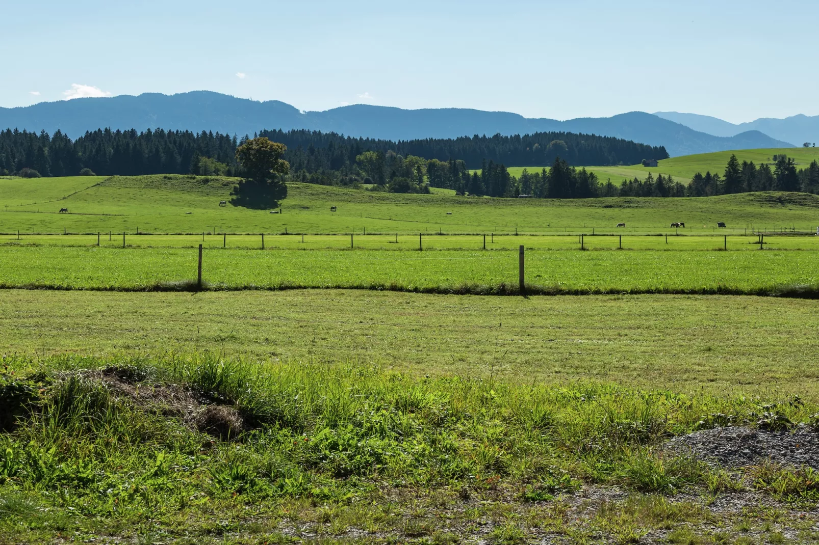 Steingaden-View in summer