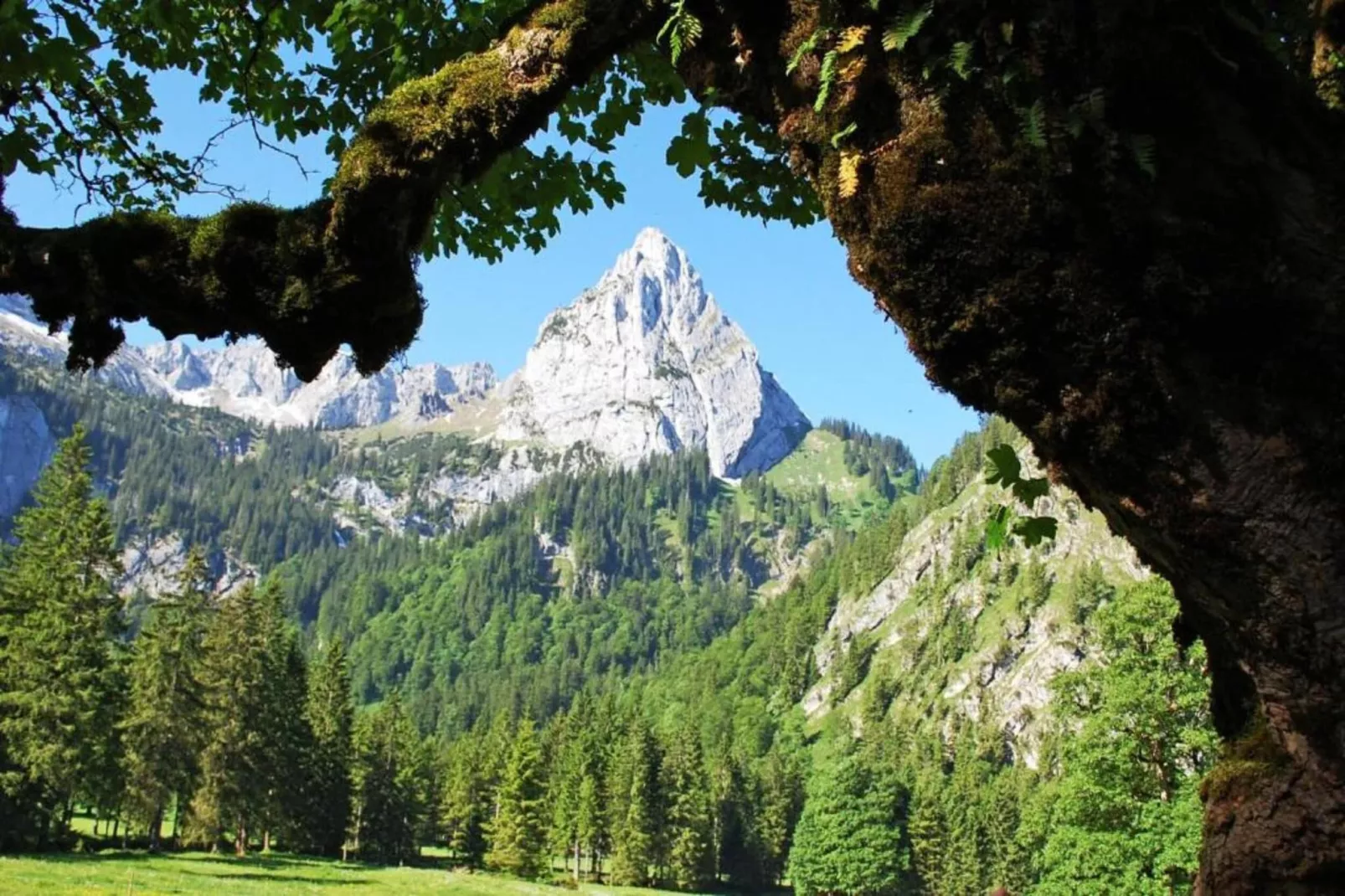 Allgäu-Areas within 20km in summer