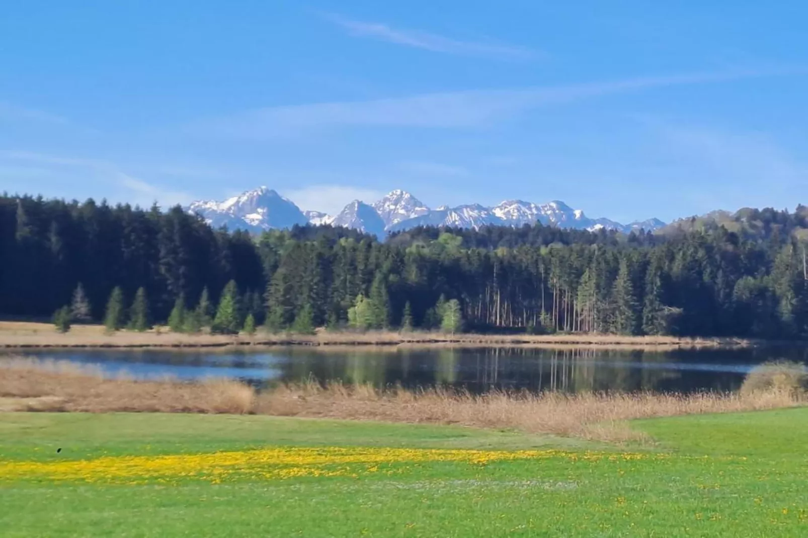 Trauchgau-Areas within 5km in summer