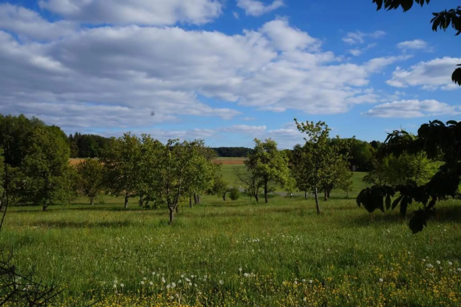 Kammerstein-Zones d'été à 20 km