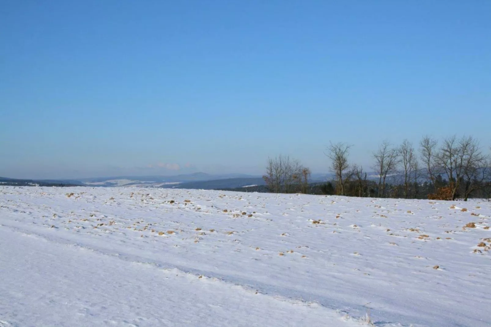 Has'n Res-Area within 5km in winter