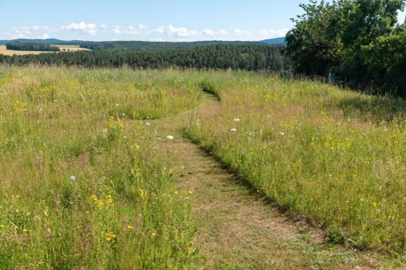 Bodenwöhr-Areas within 5km in summer