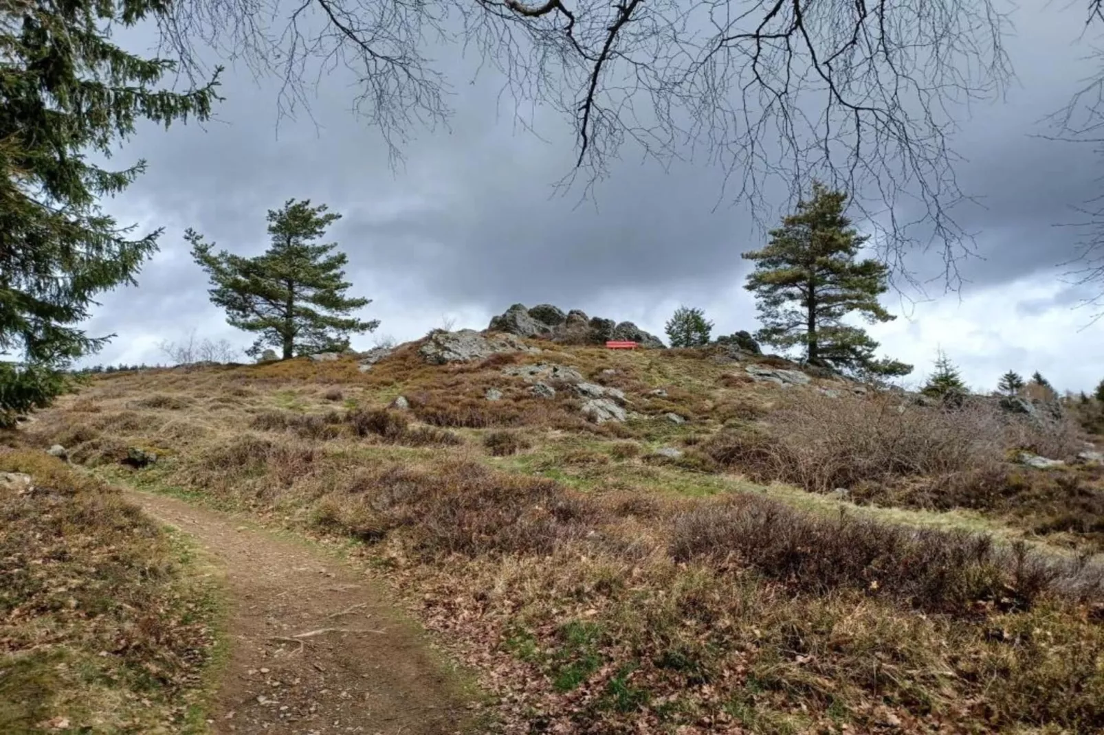 Bayerischer Wald-Zones été à 20 km