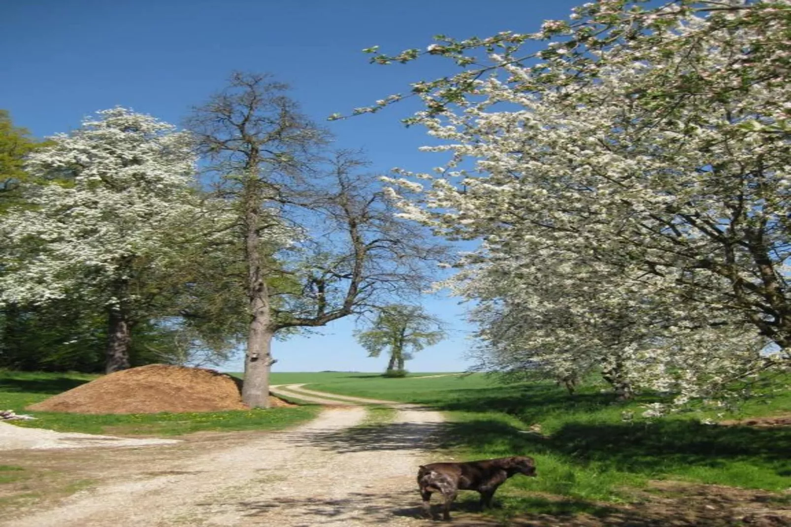 Am Ferienhof-Gebiete Sommer 20 km