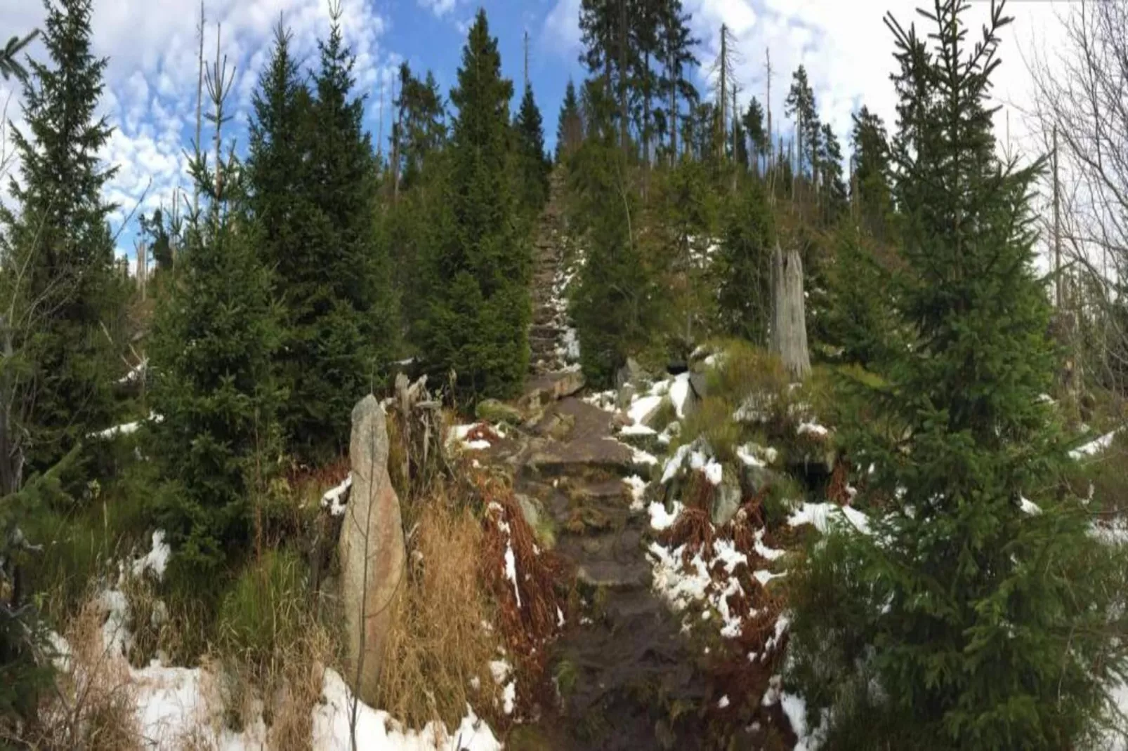 Im Bayerischen Wald-Areas within 20km in summer