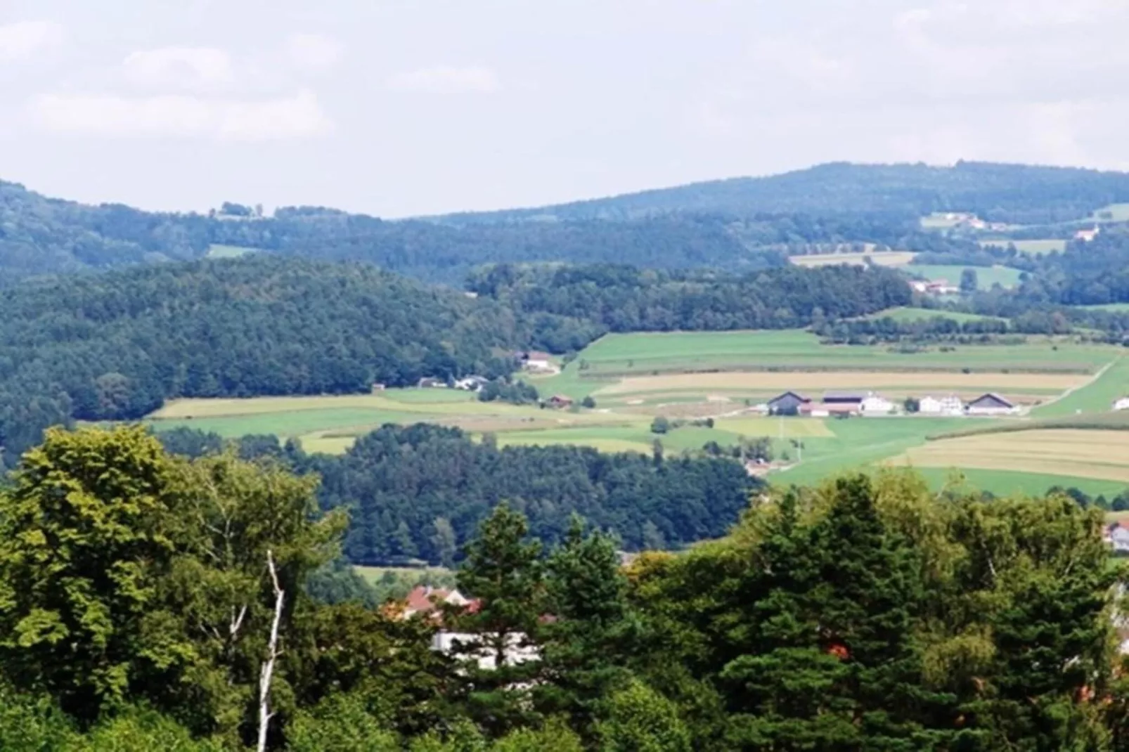 Ferienhaus mit Sauna in Viechtach-Gebiete Sommer 20 km