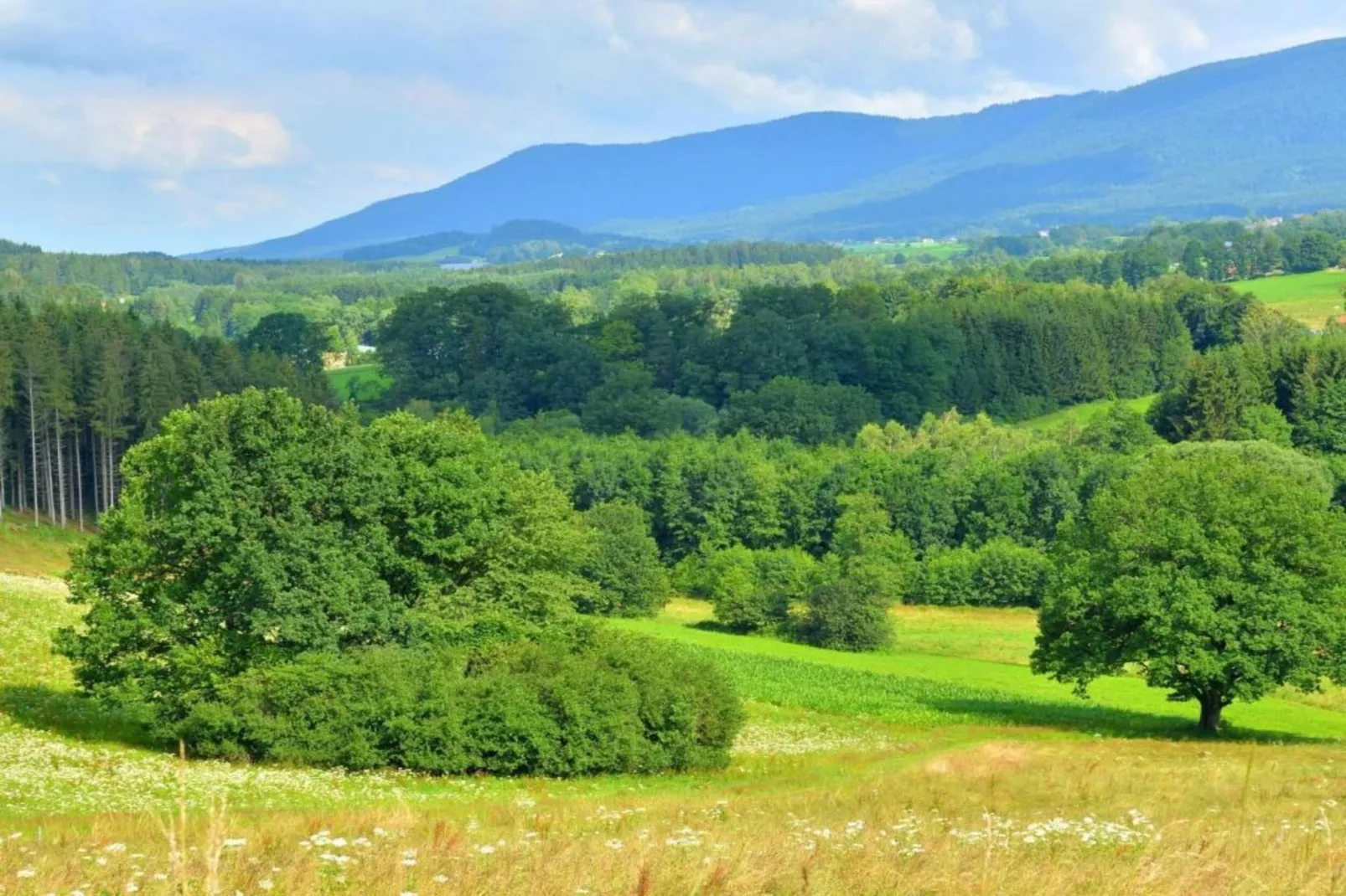 Im Zellertal-Areas within 20km in summer