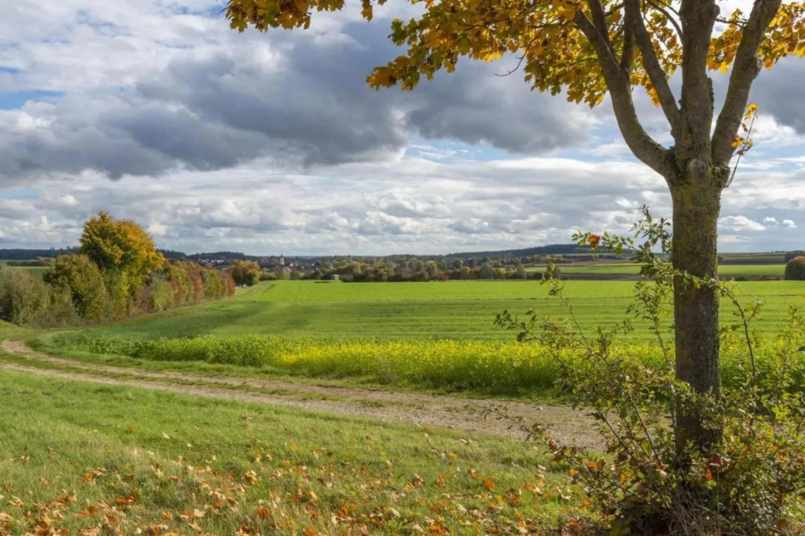 Wilder Wein-Areas within 20km in summer