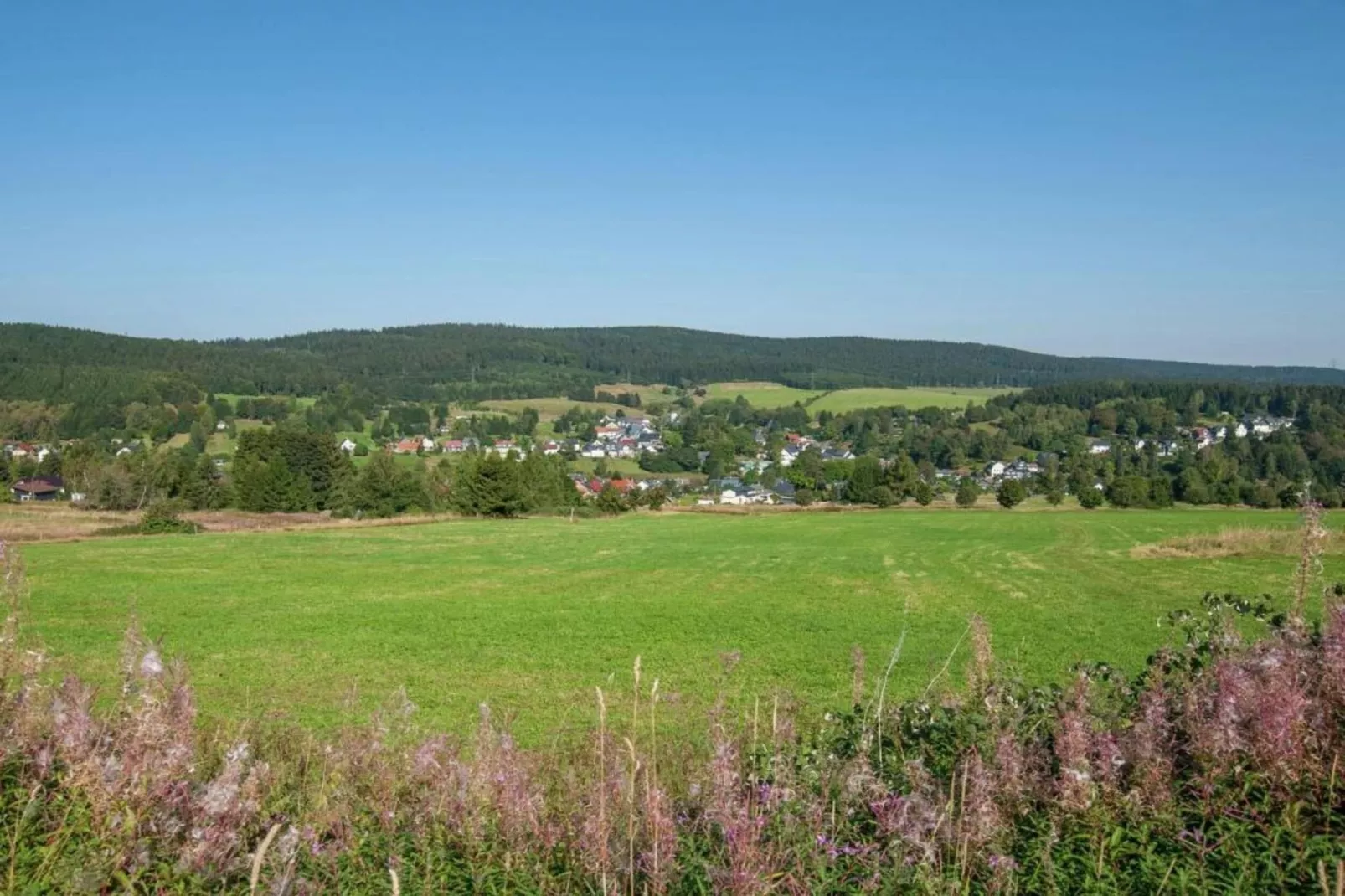 Dorothea-Gebiete Sommer 5 km