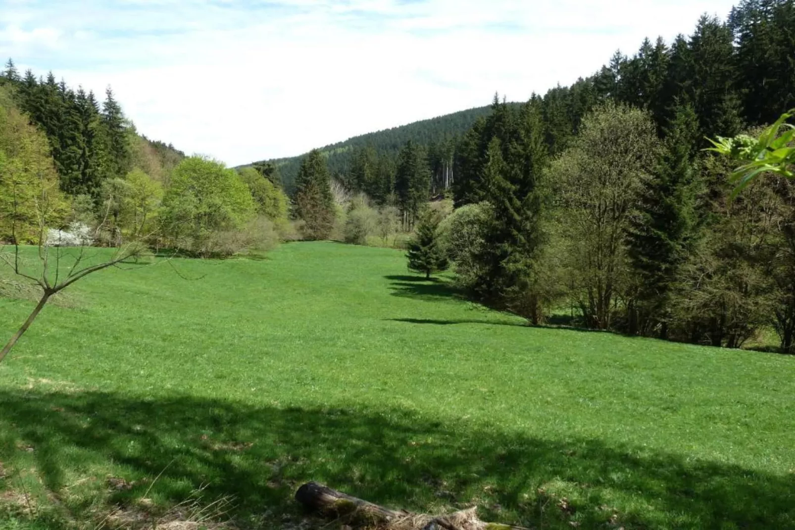 Langewiesen