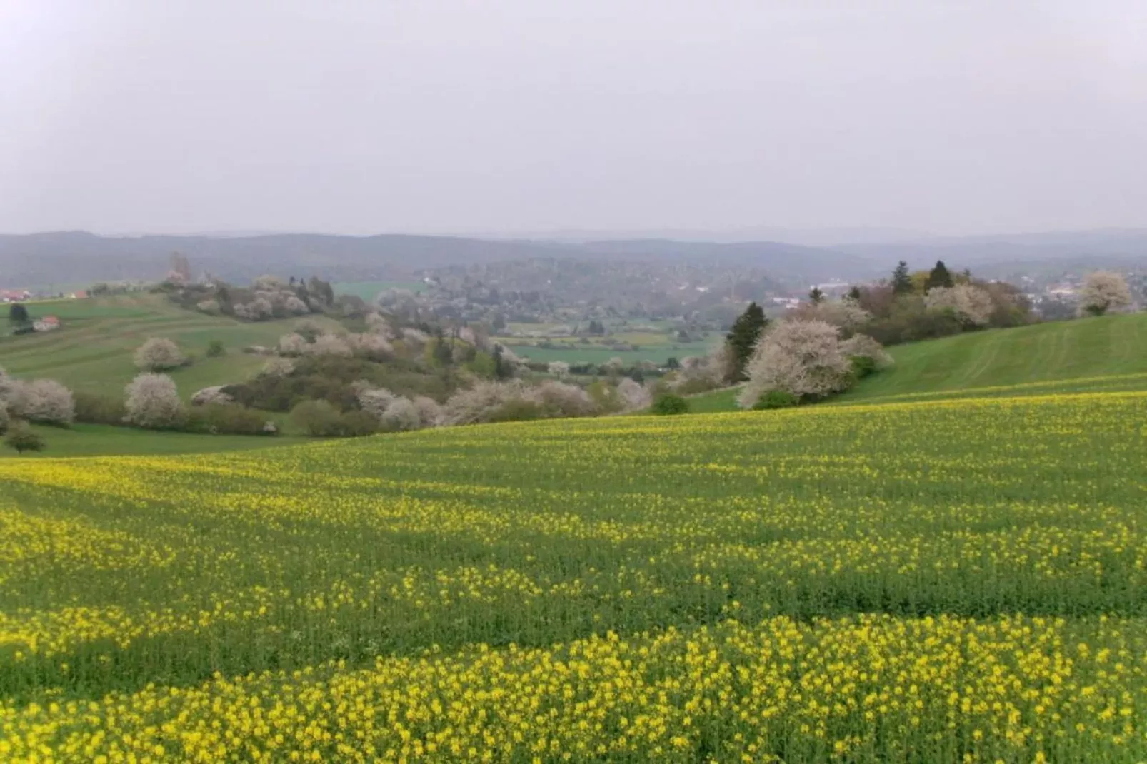 Serene Stay with Garden-Areas within 5km in summer