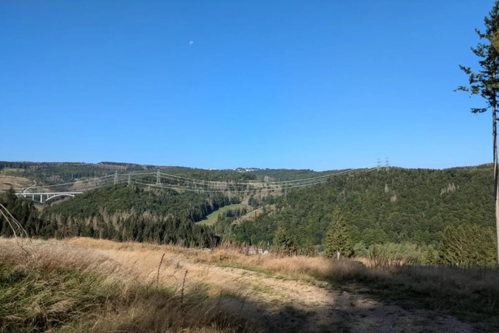 Goldisthal-Areas within 20km in summer