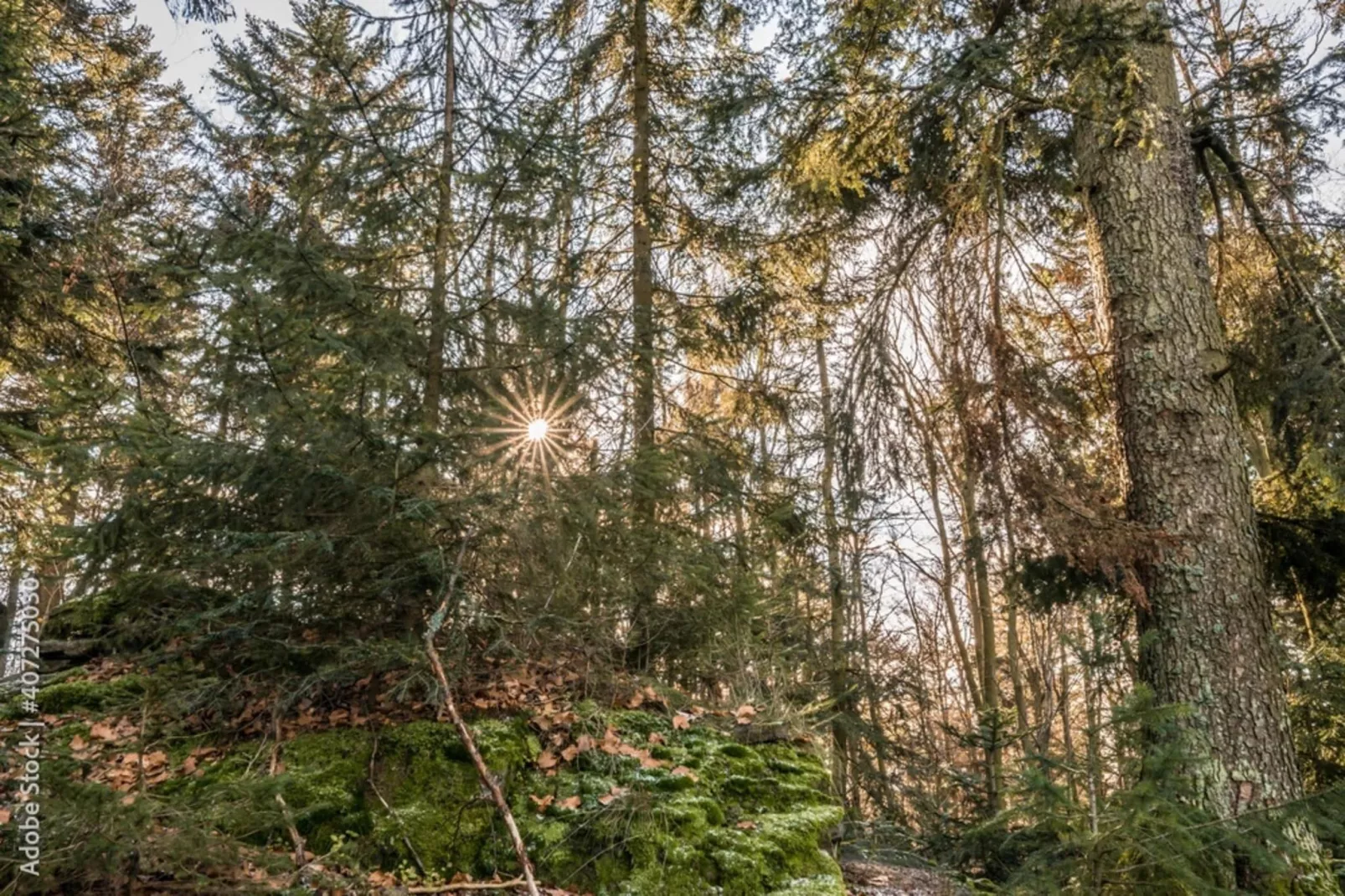 Alte Wassermühle-Gebiete Sommer 1 km