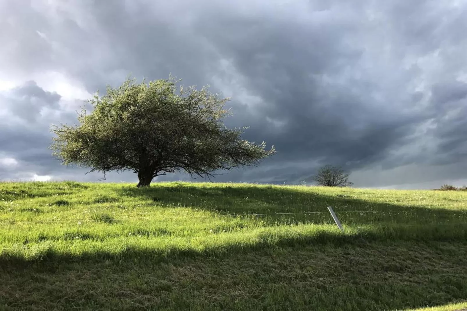 Am Sandberg-Areas within 20km in summer
