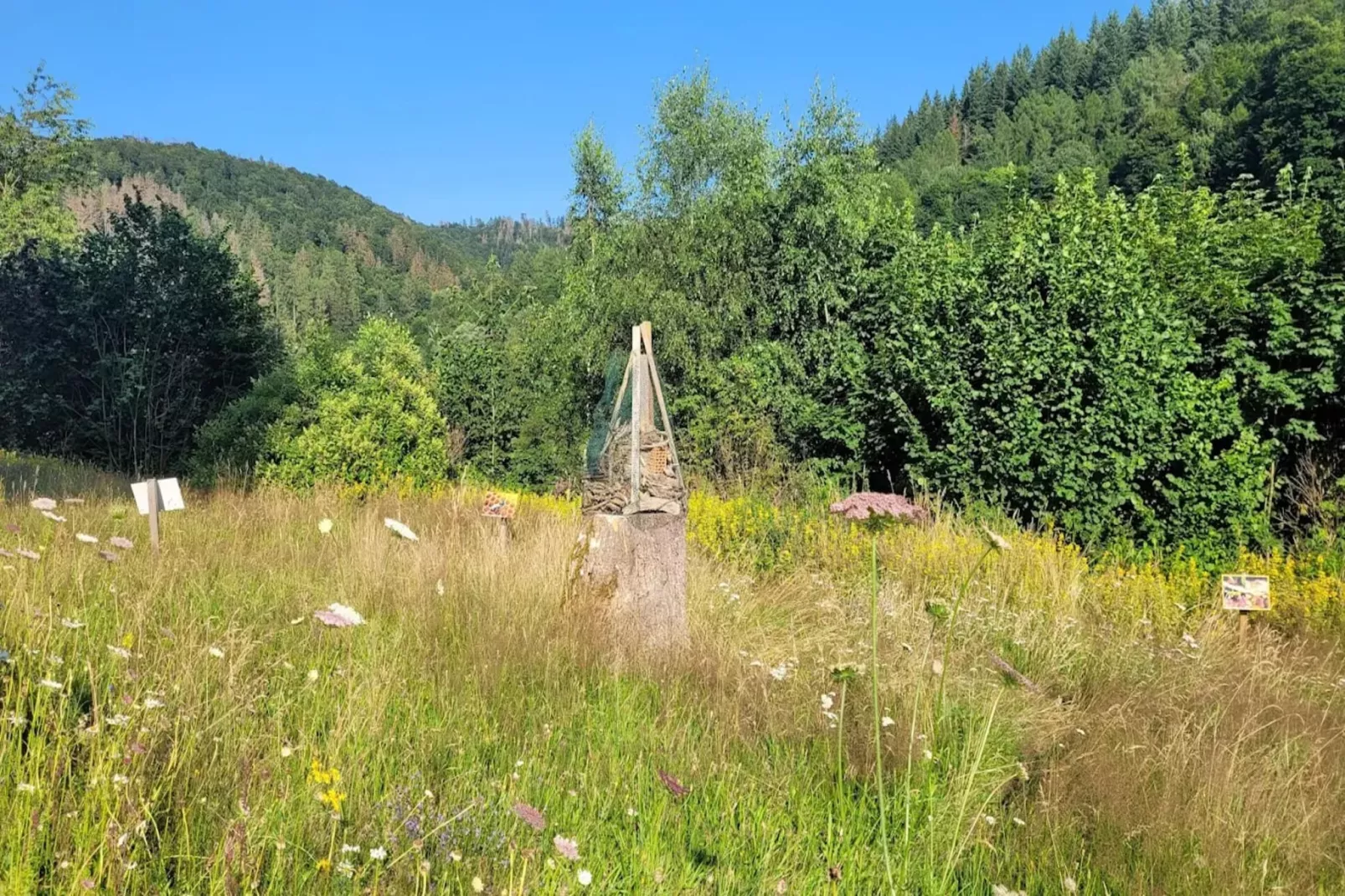 Ferienhaus in Wieda-Areas within 5km in summer