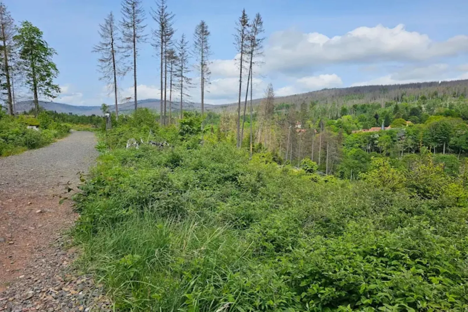 FH PremiumLodge Plus-4Erw und 2 Ki 4-11-Areas within 5km in summer
