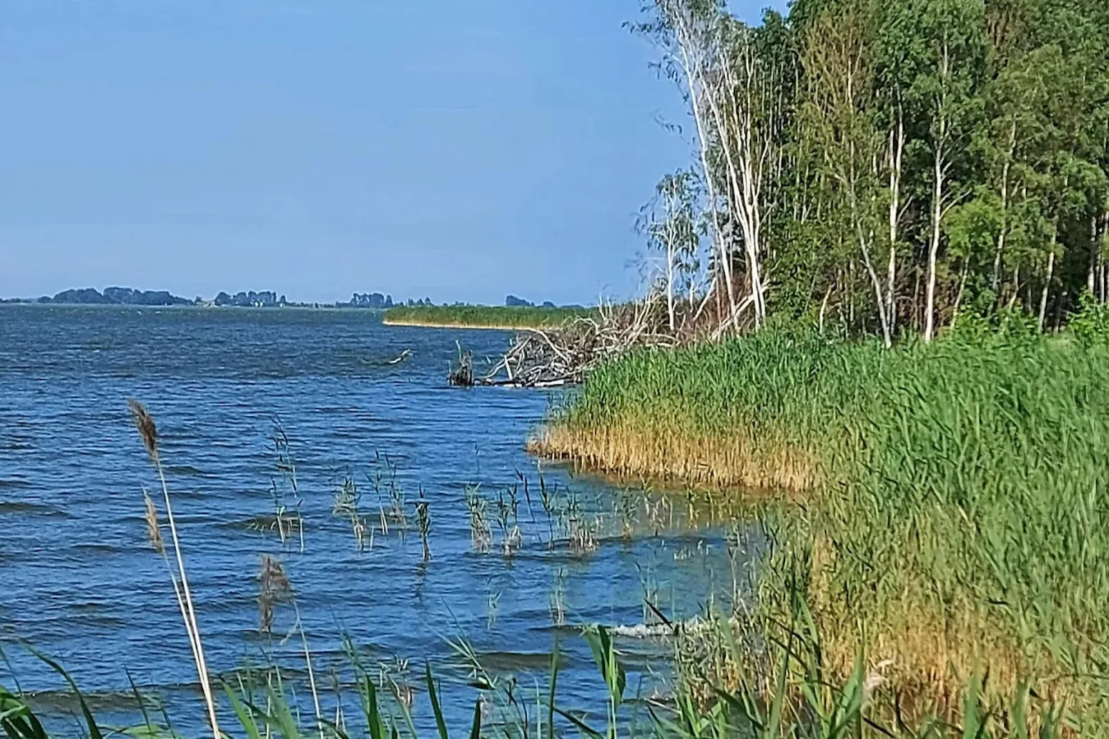 Seeschwalbe 60-Areas within 1km in summer