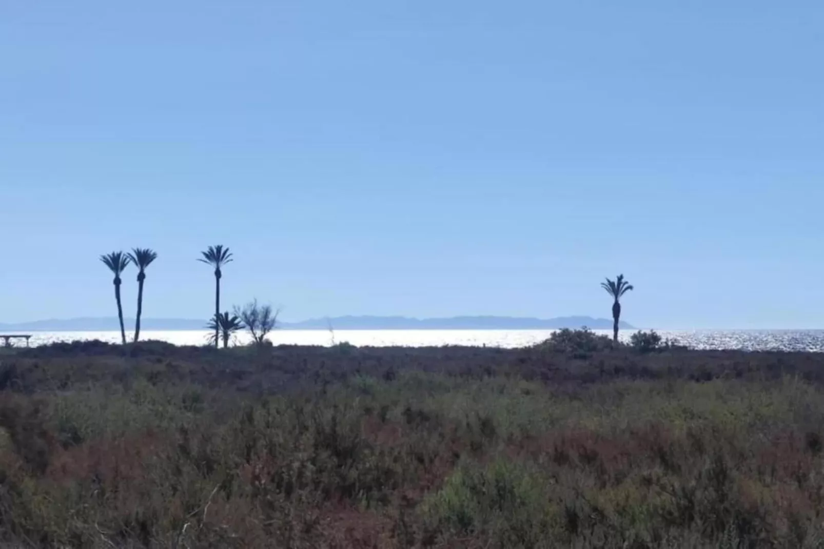 Los Olivos-Areas within 5km in summer