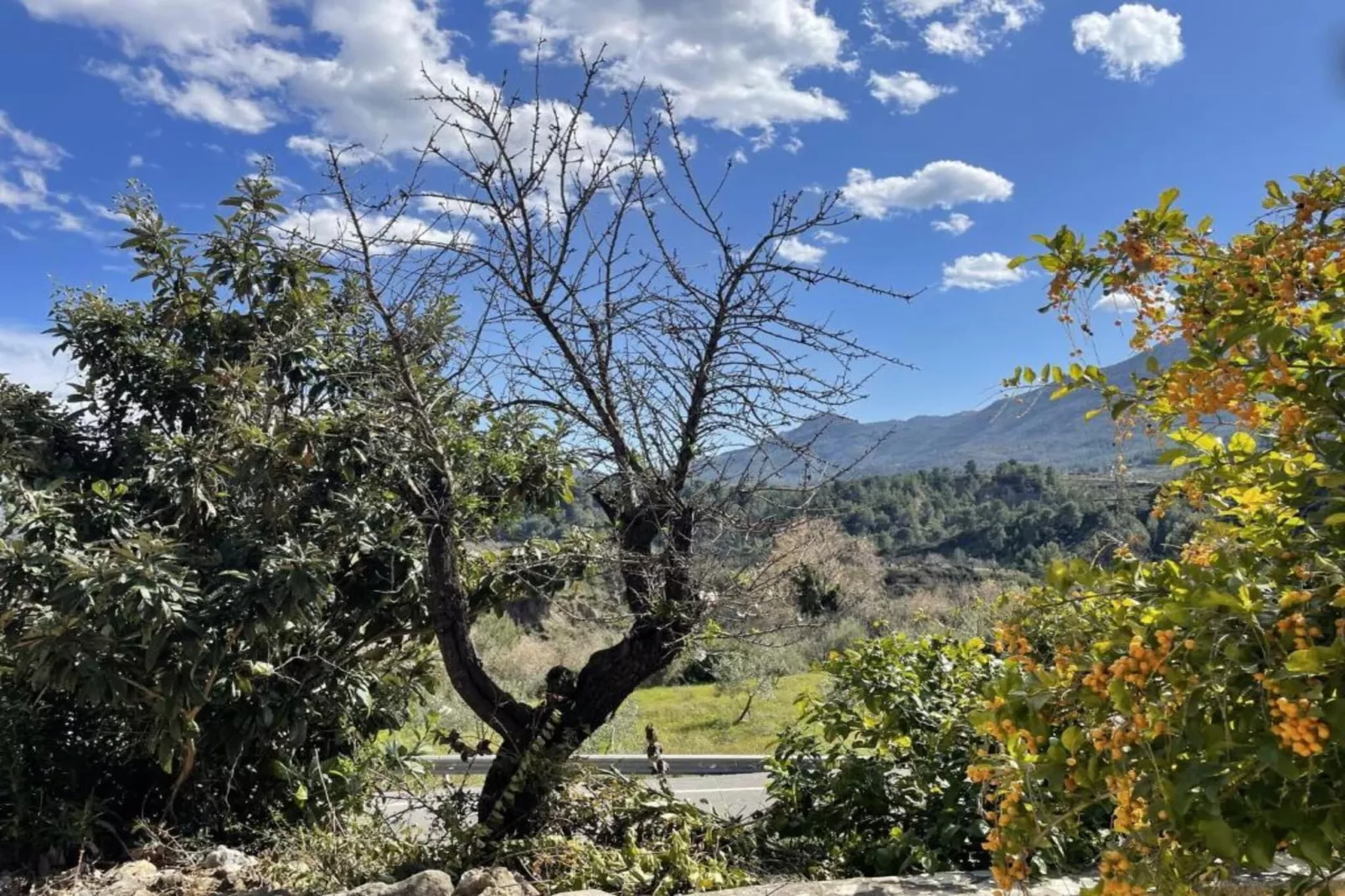 Finca Caballo Verde