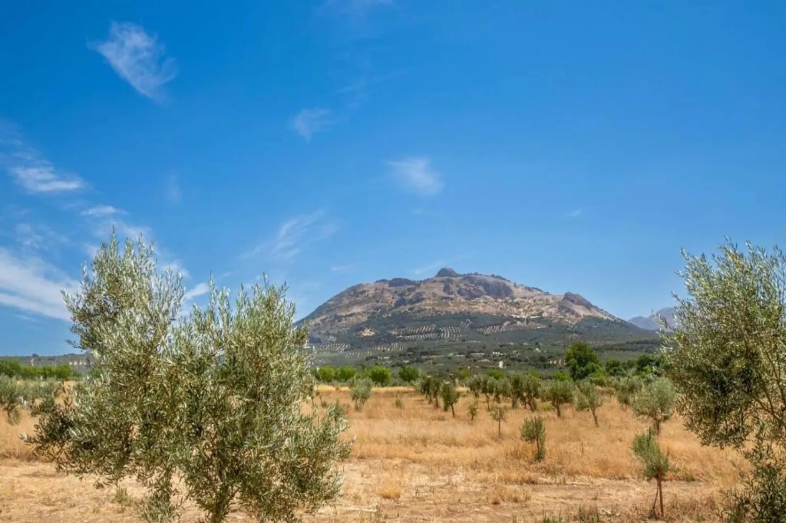 Cortijo Los Alazores-Areas within 5km in summer