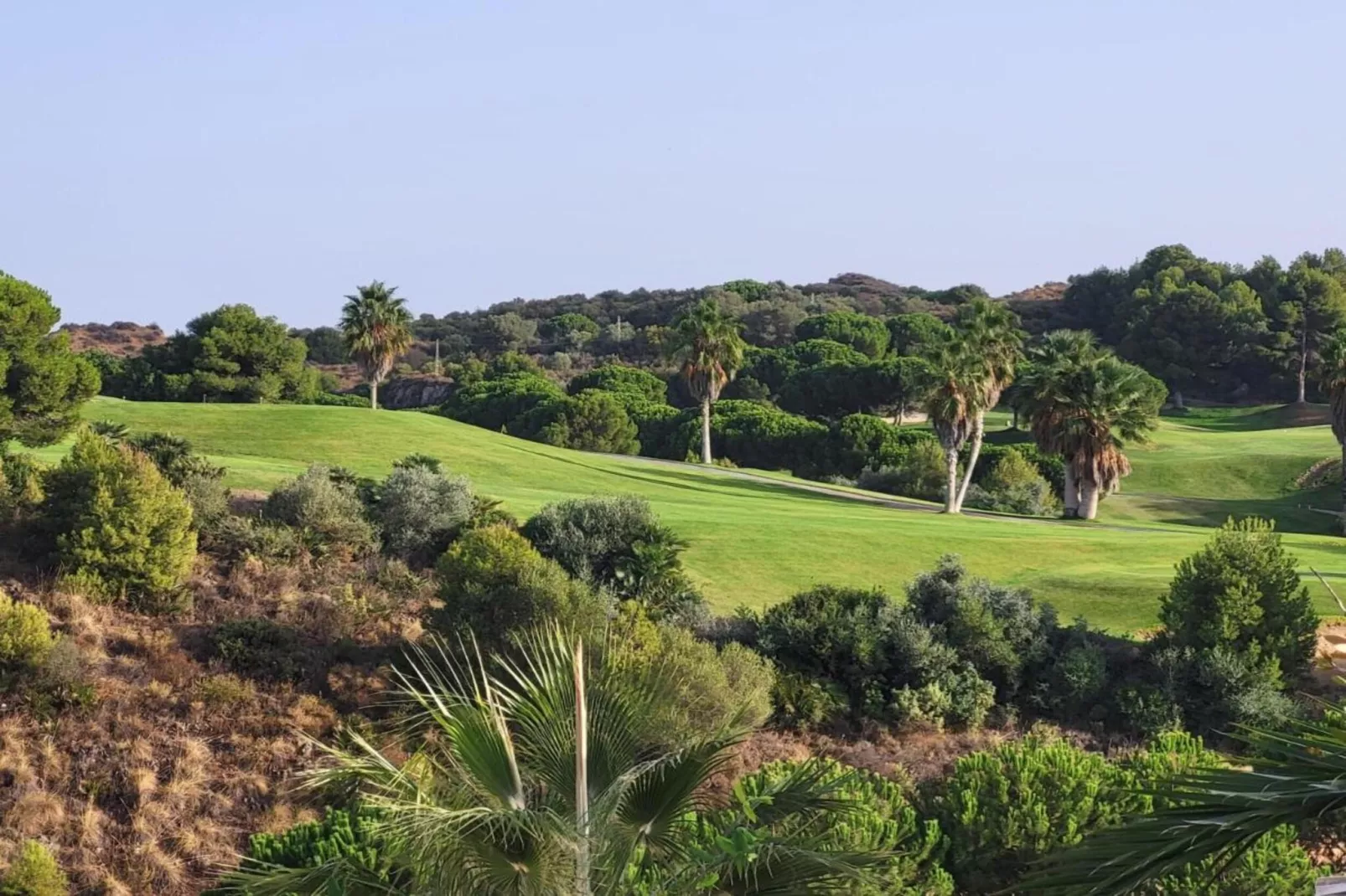 El Mirador-Areas within 20km in summer