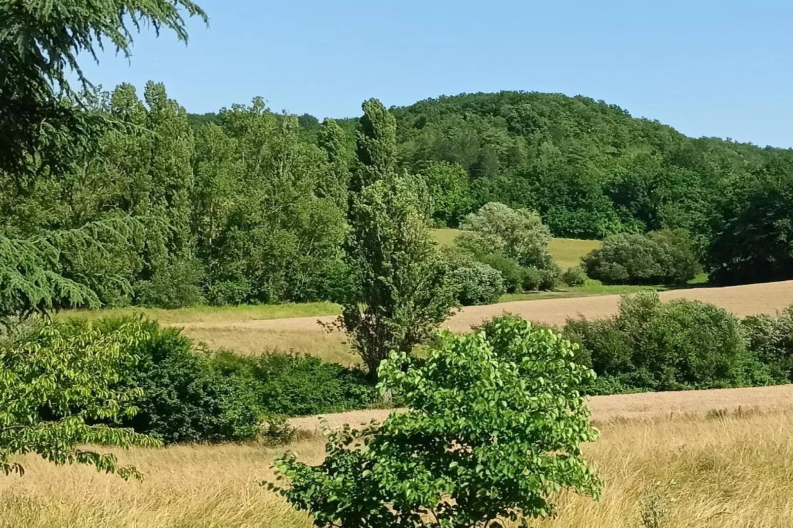 Maison Lamothe-Zones été à 5 km