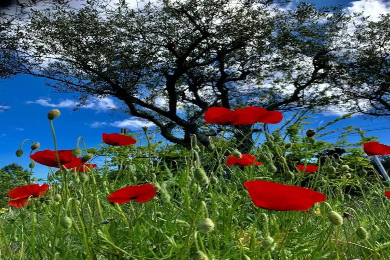 Villa Ardeche-Gebiete Sommer 20 km