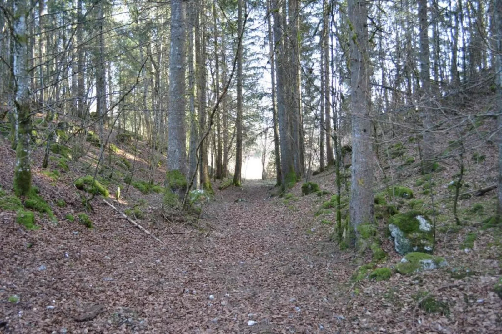 O CHALET-Zones été à 20 km
