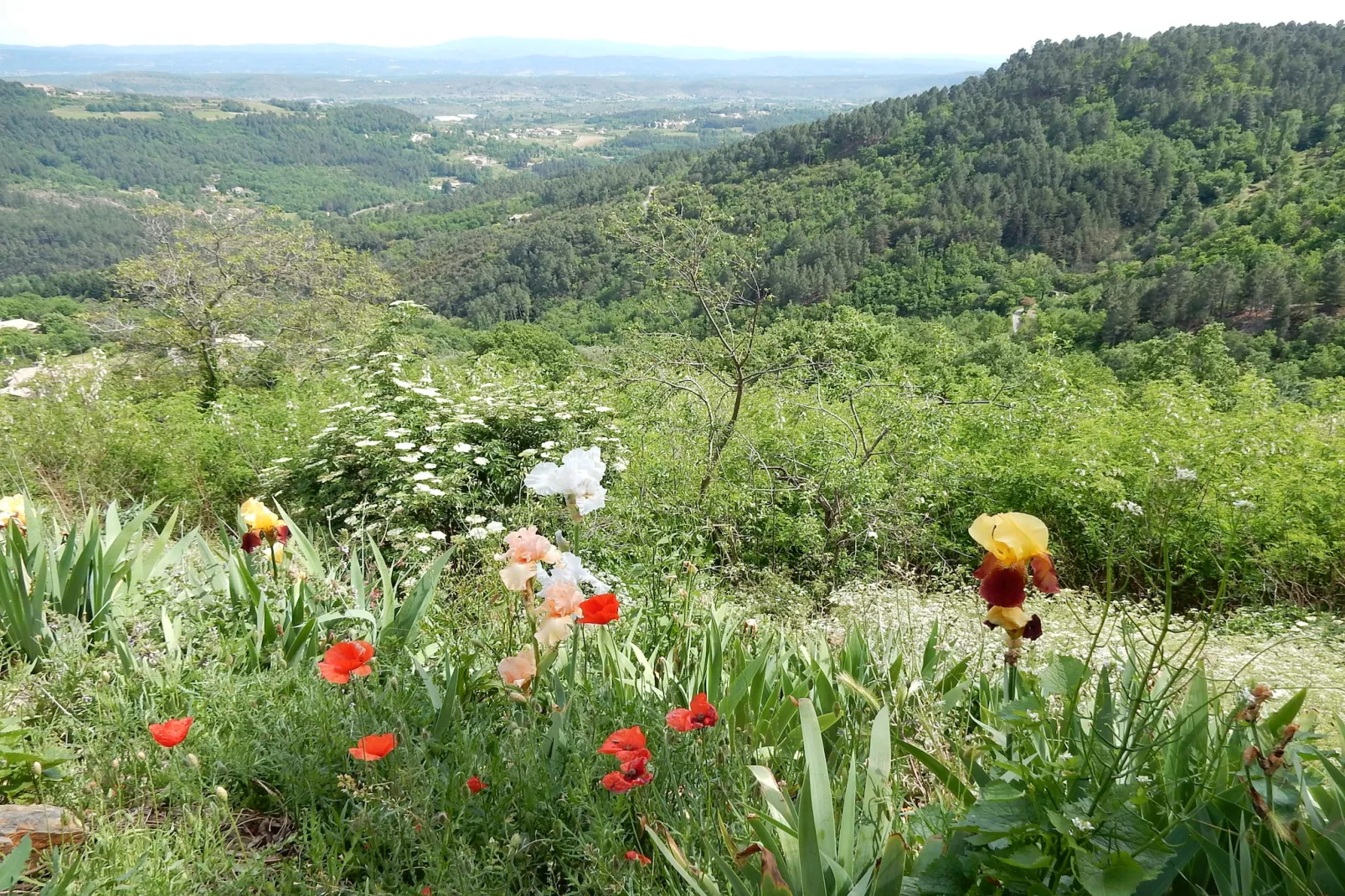 Villa Chassiers petit-Vue d'été