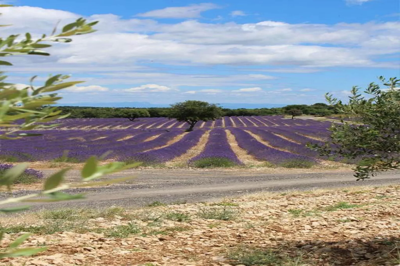 Le Domaine des Hauts de Salavas 3-Areas within 20km in summer