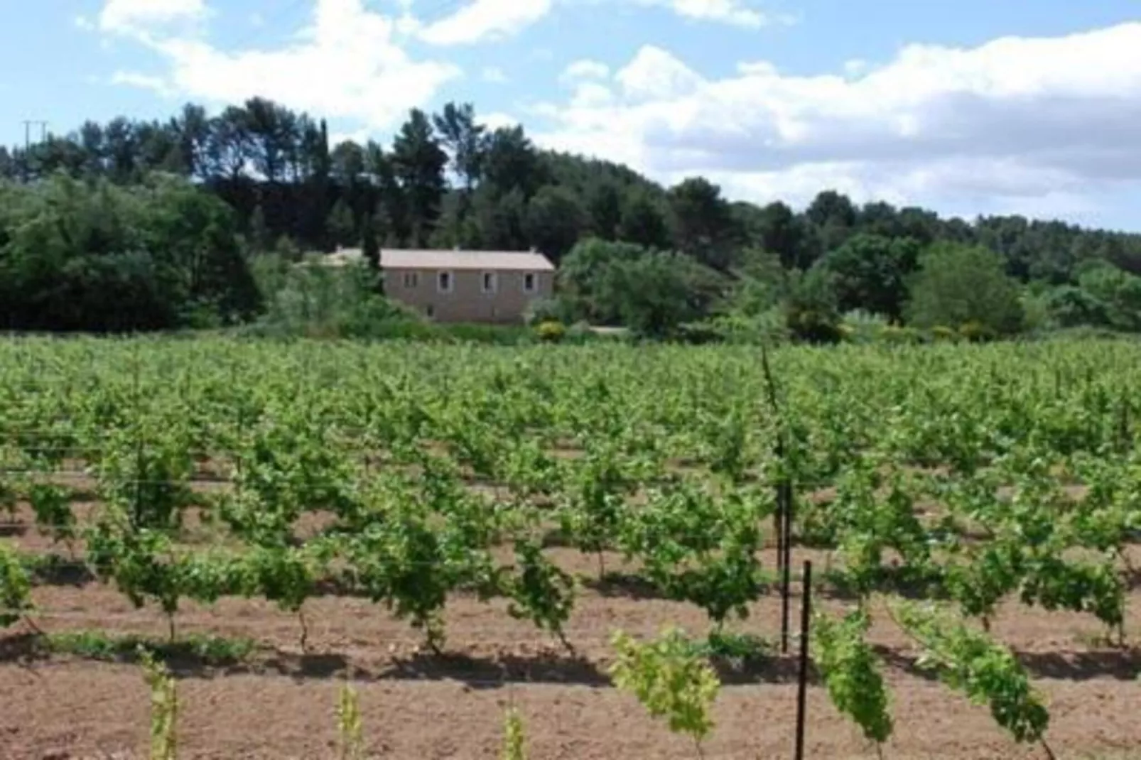 Jurio - ARGELIERS-Areas within 20km in summer