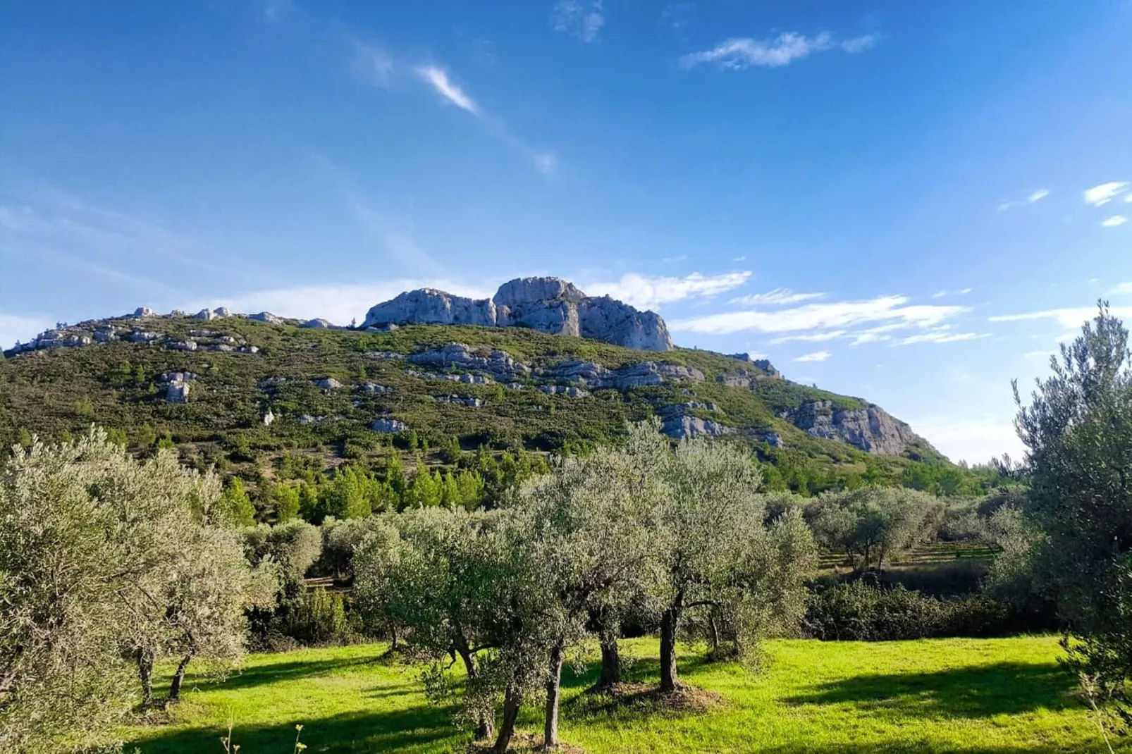 Résidence Le Mas des Alpilles 2-Areas within 20km in summer