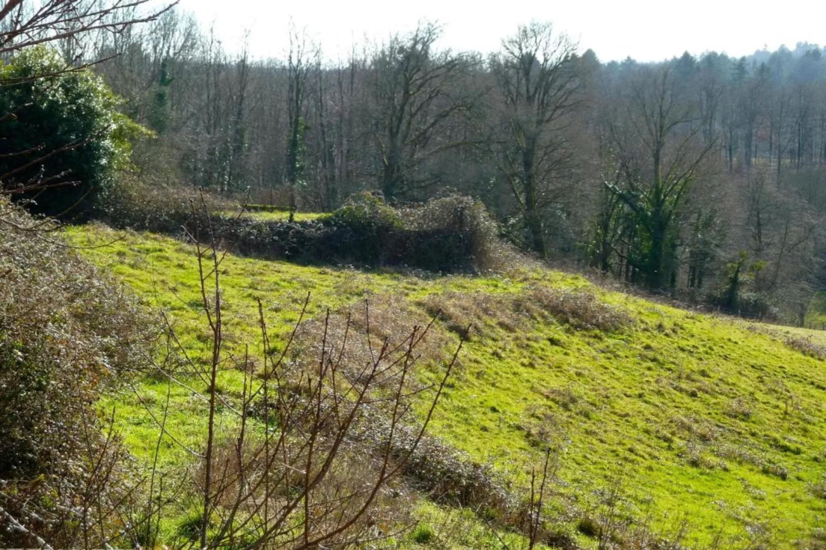 La Belle Cour-Zones été à 5 km
