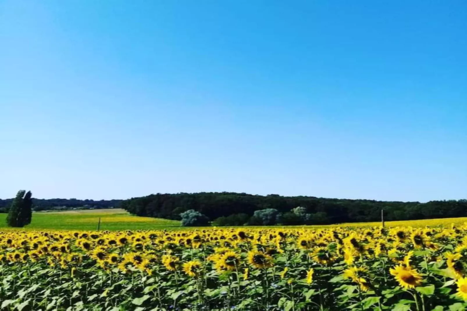 Gîte du Château-Areas within 5km in summer