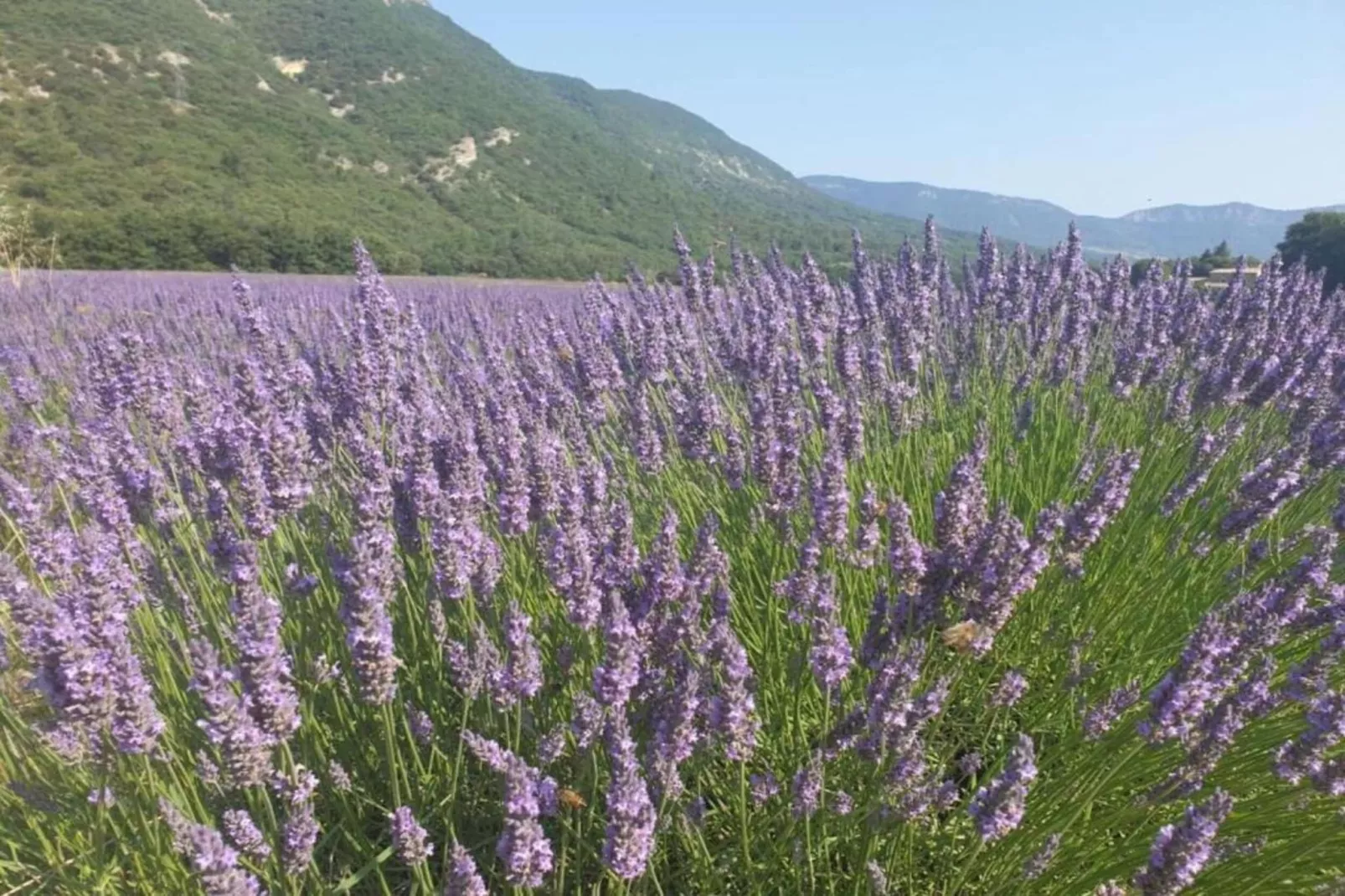 Villa Enniroc-Areas within 20km in summer