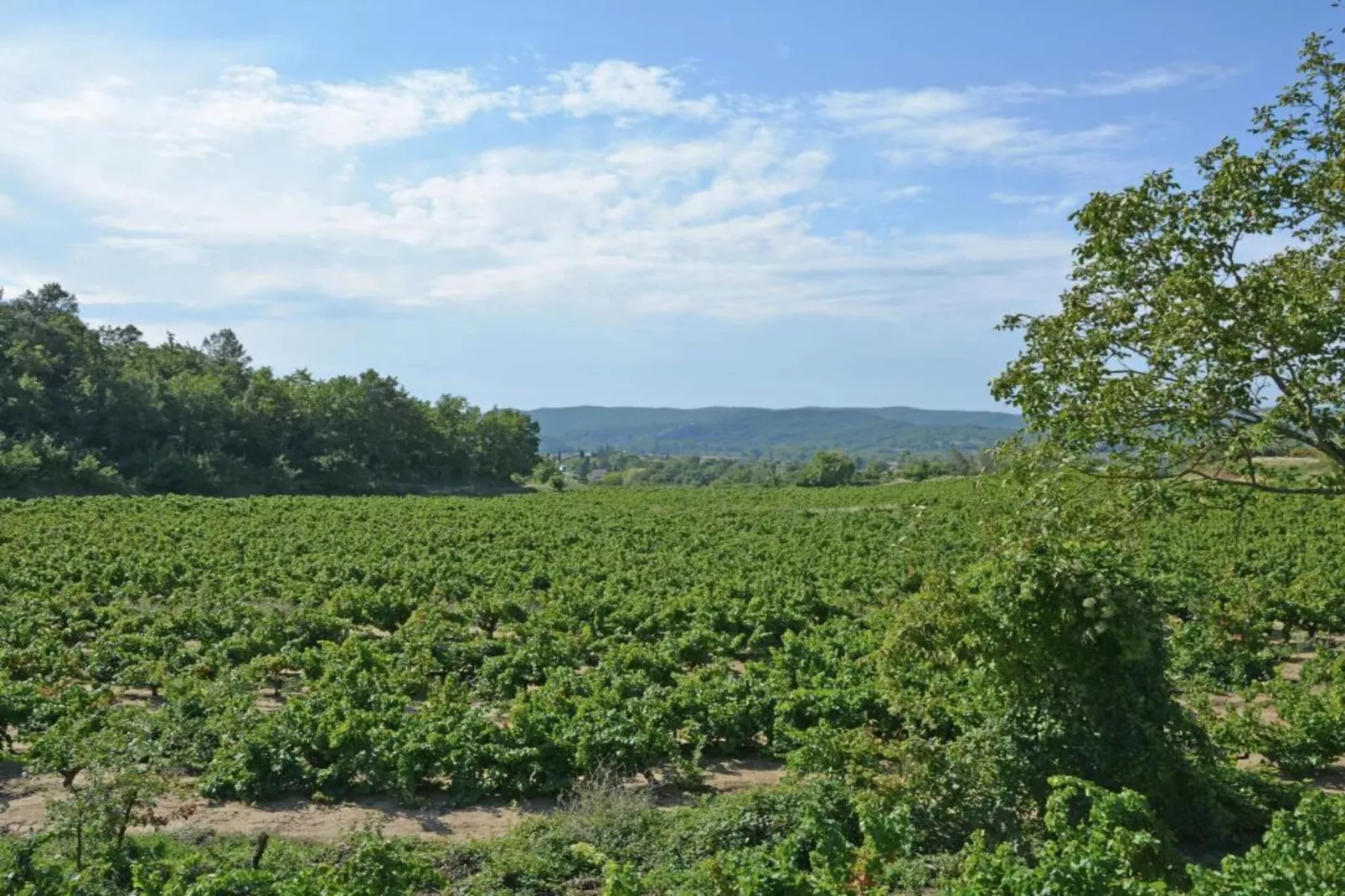 L'Oliveraie-Areas within 5km in summer