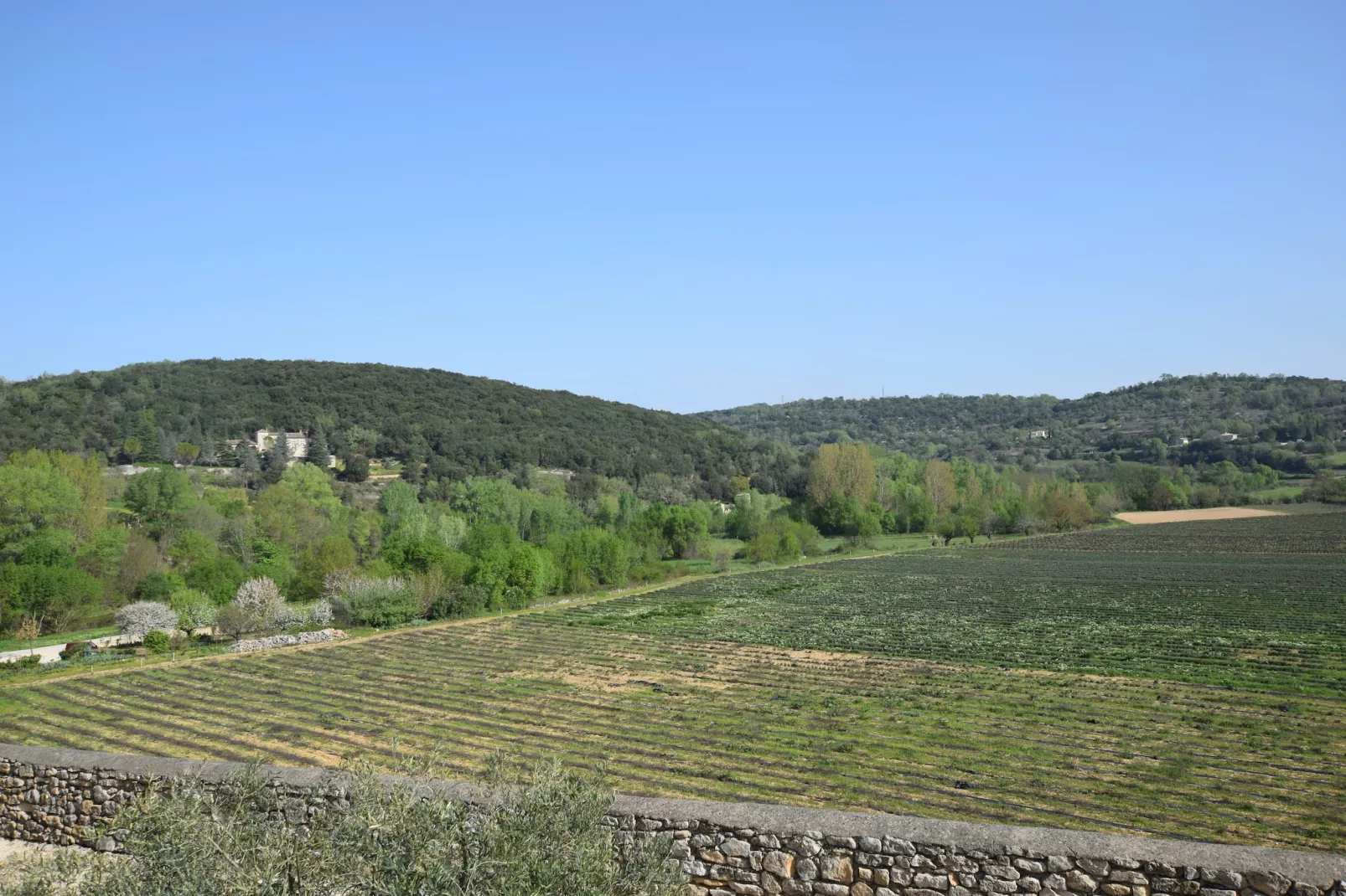La Bise-View in summer