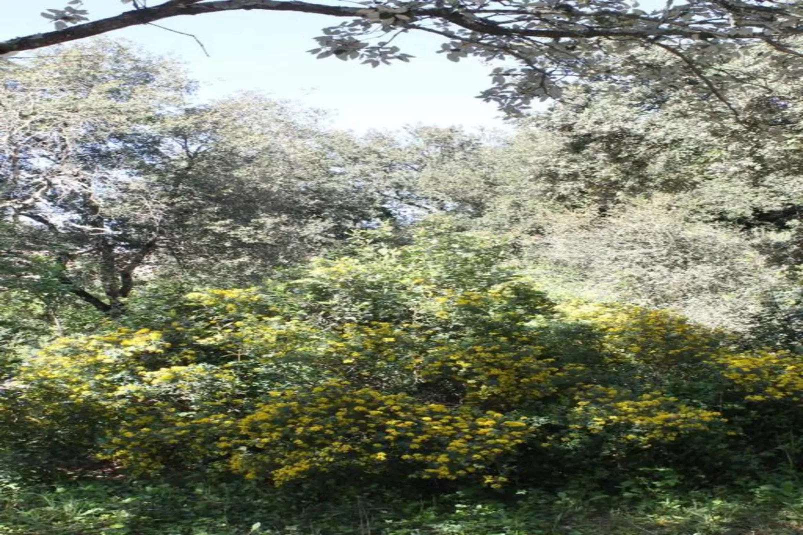 Grande Villa Vue Panoramique-Areas within 20km in summer