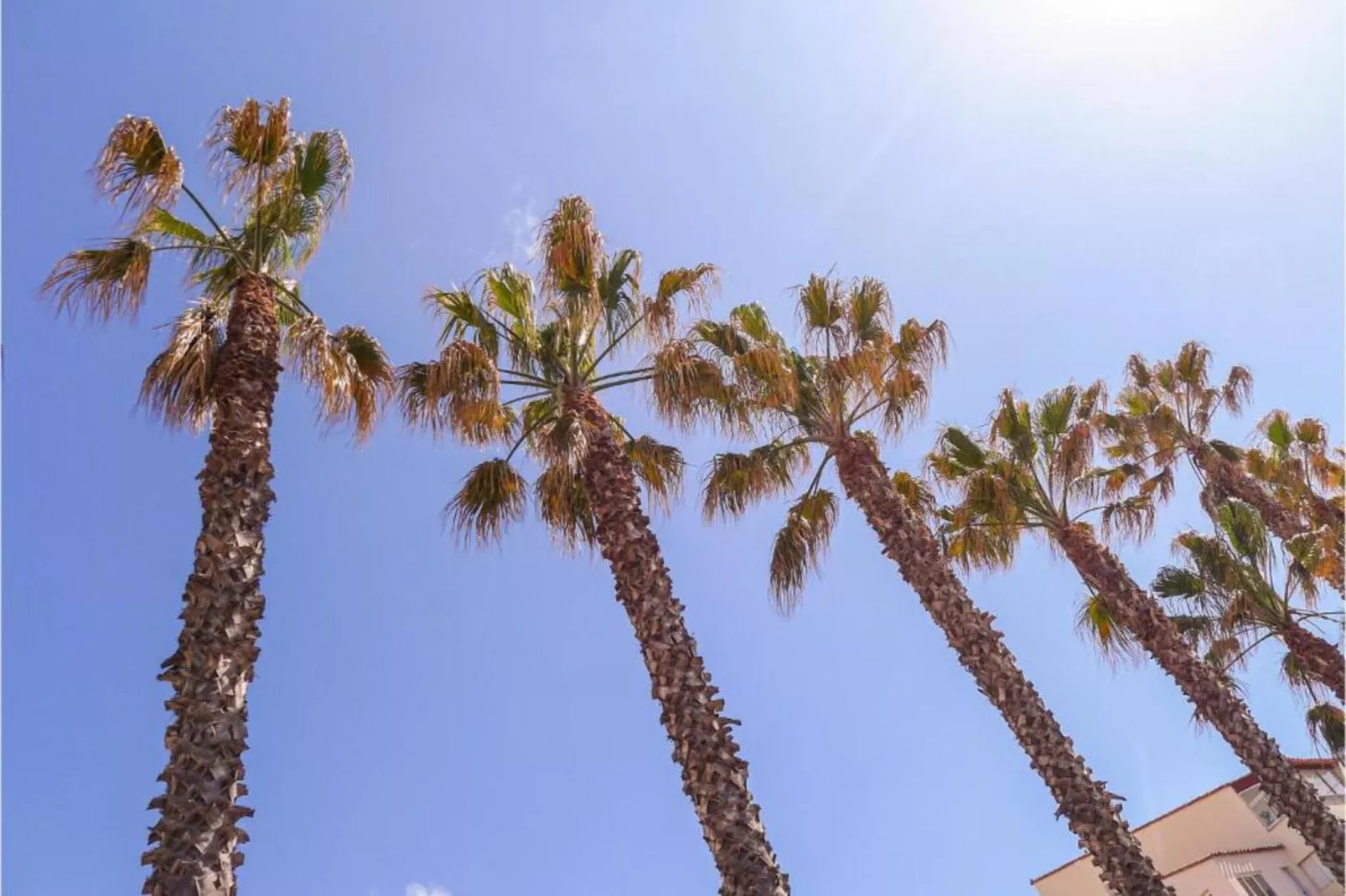 Club Saint Loup 3-Areas within 20km in summer