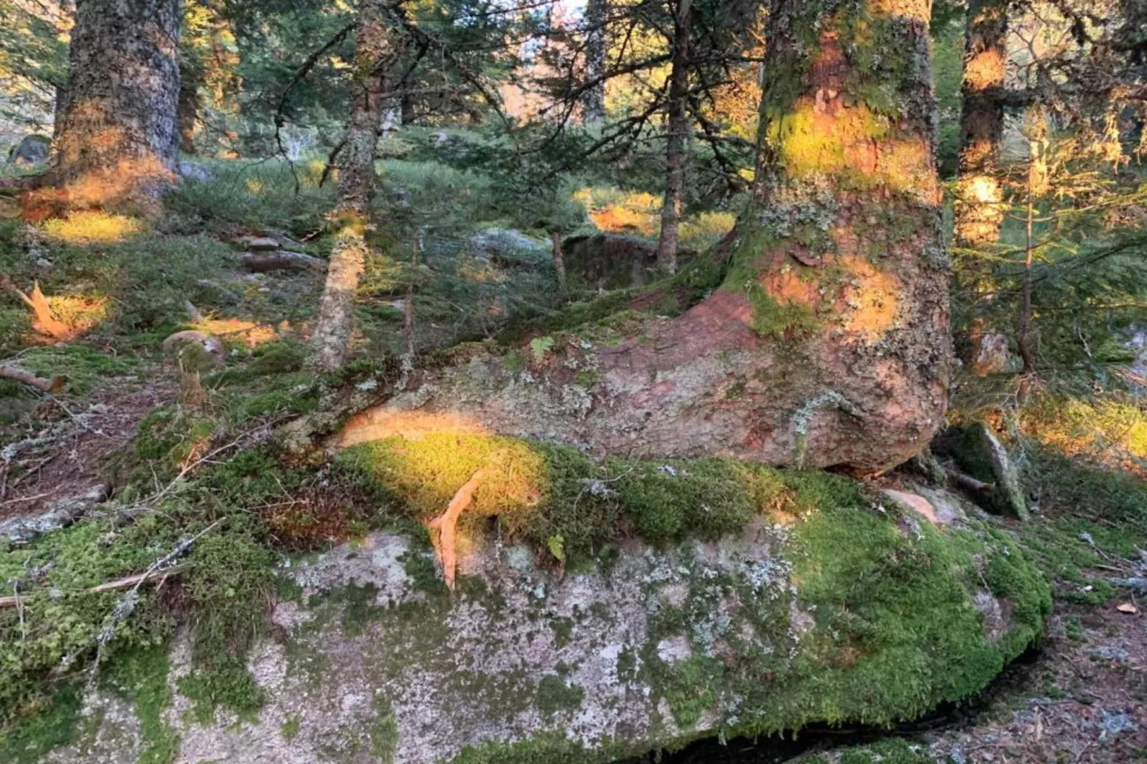 Gite -   SAUVAIN-Zones été à 5 km