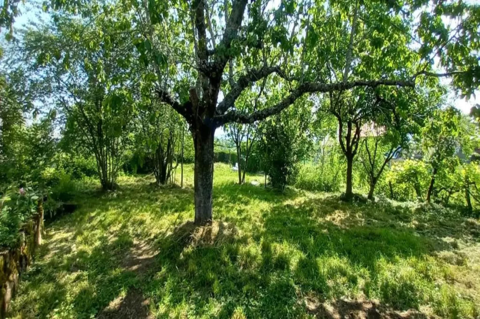 Rougeac-Areas within 20km in summer