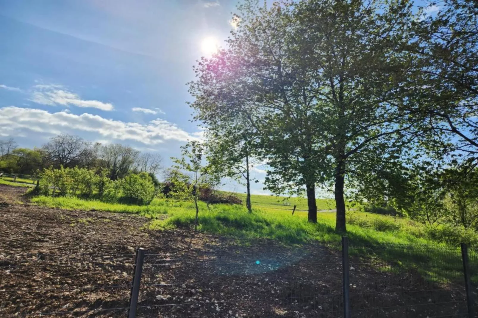 Maison de vacances - NETTANCOURT-Gebiete Sommer 5 km